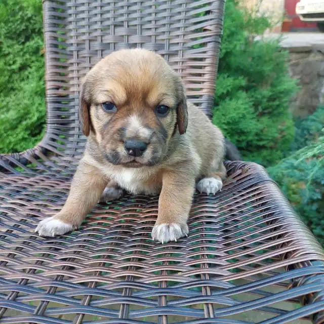 carousel-image-mobile-1