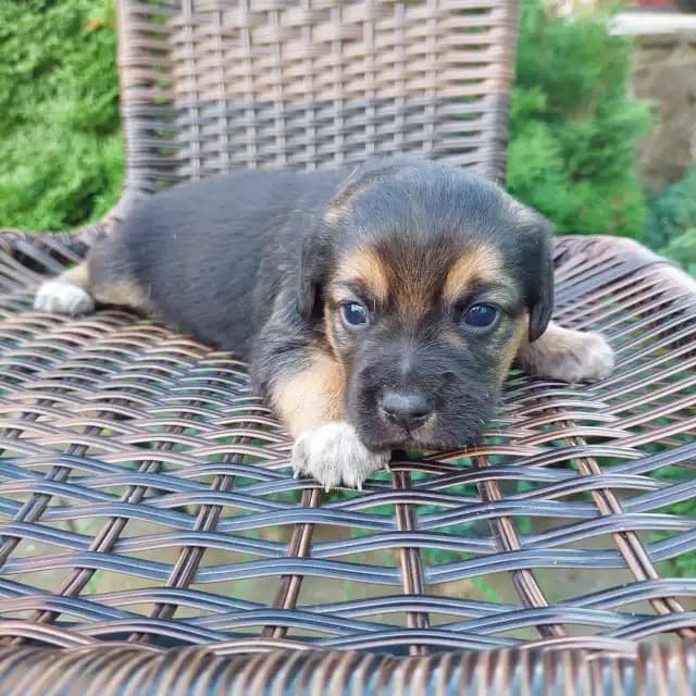 carousel-image-mobile-2