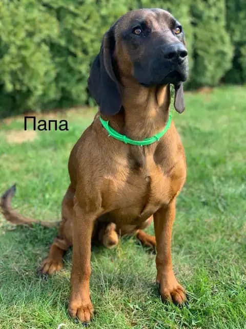 carousel-image-mobile-4