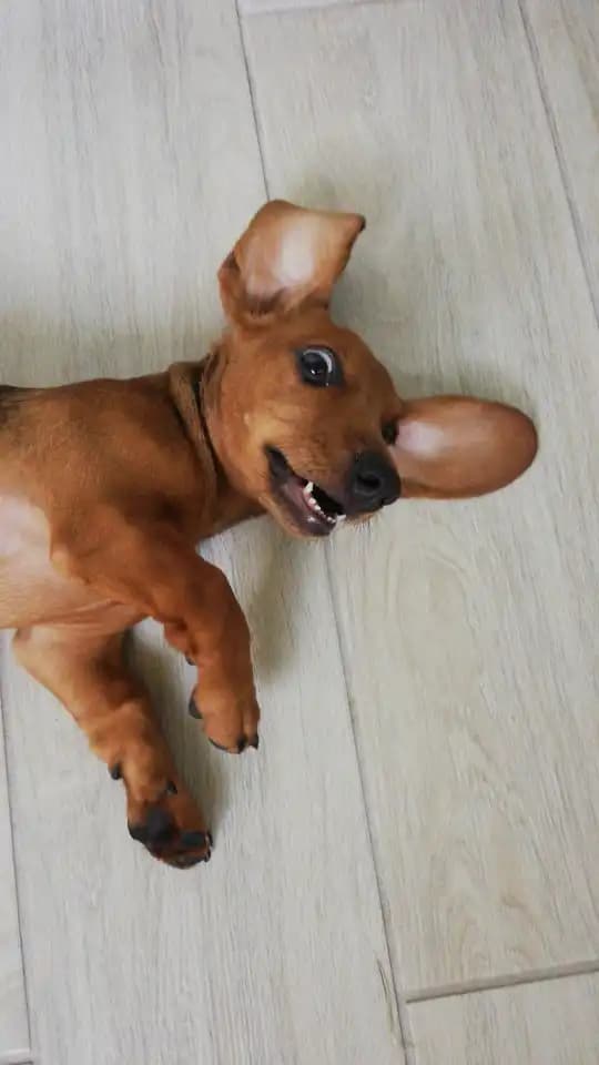 carousel-image-mobile-1