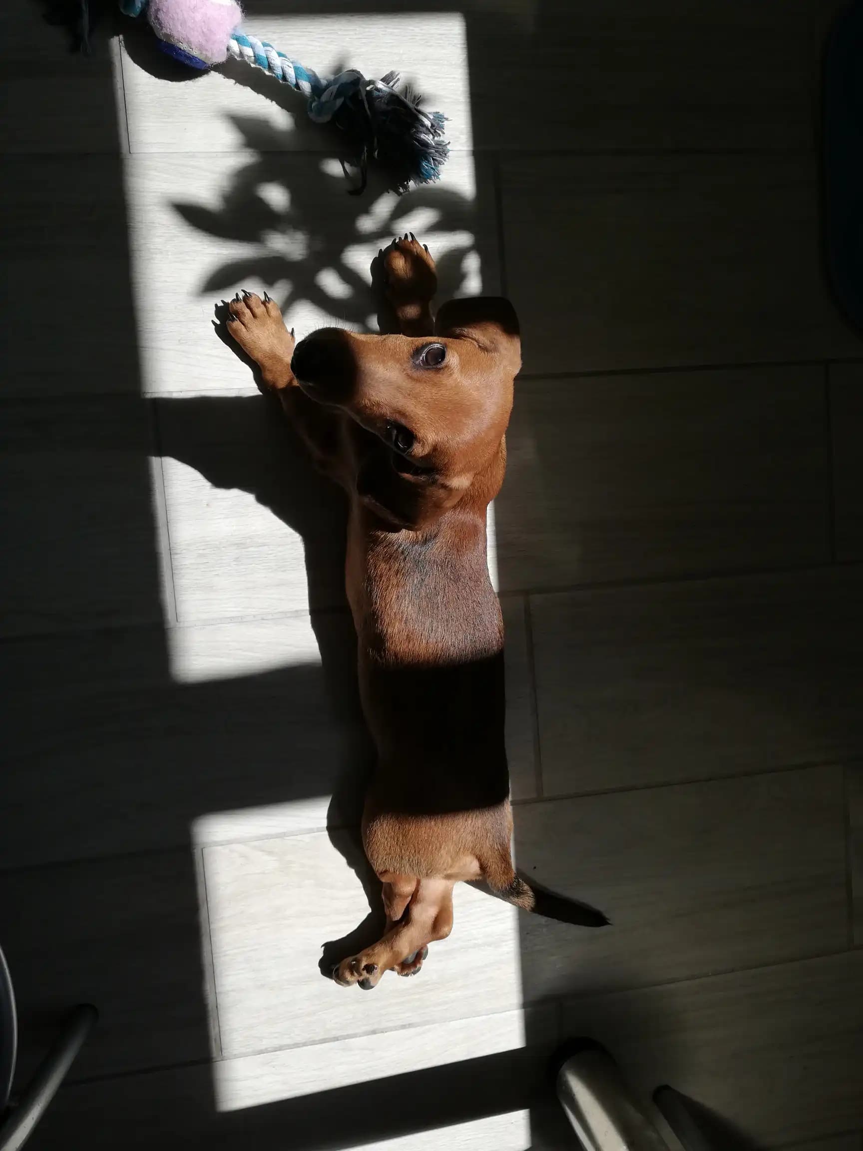 carousel-image-mobile-2