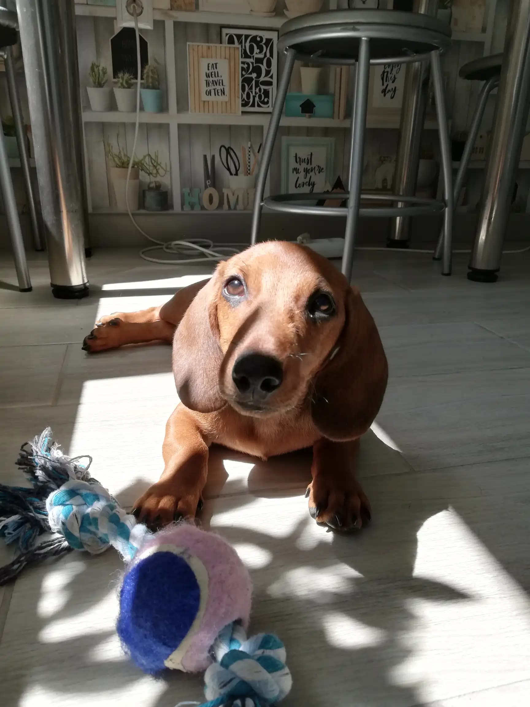 carousel-image-mobile-3