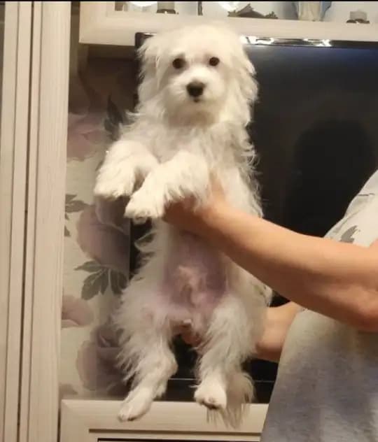 carousel-image-mobile-1