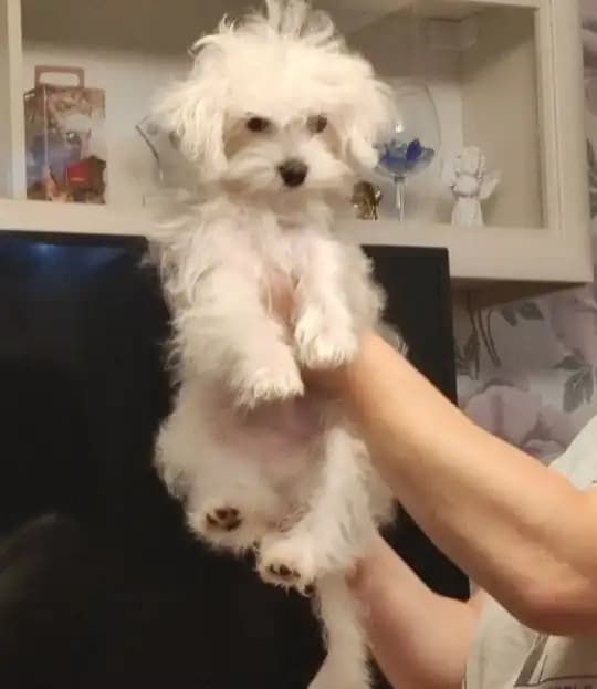 carousel-image-mobile-2