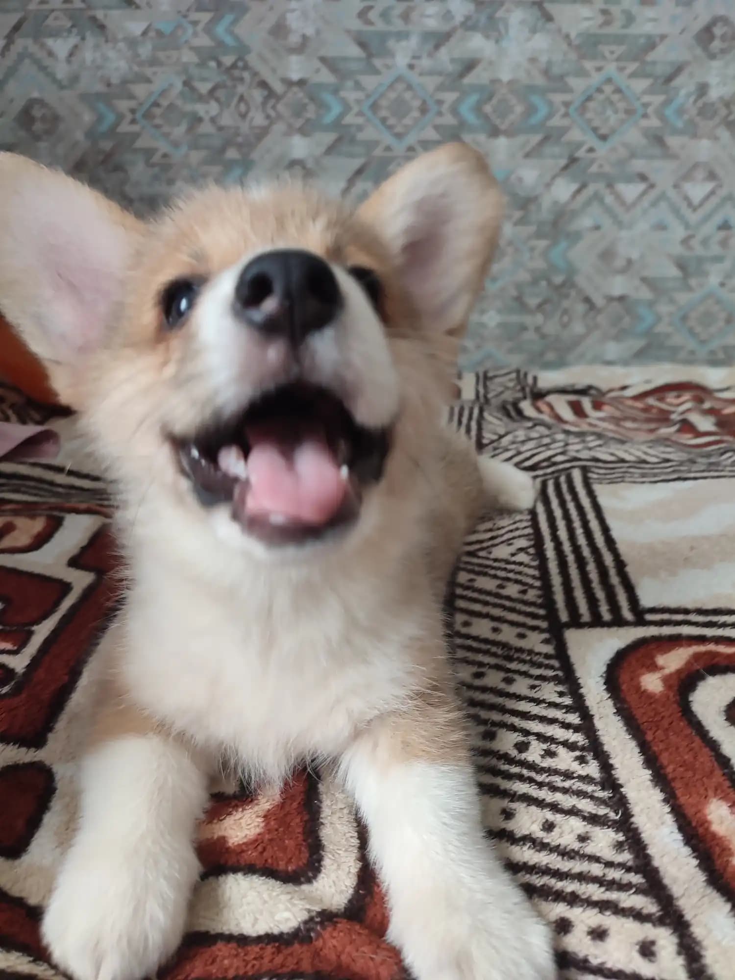 carousel-image-mobile-1