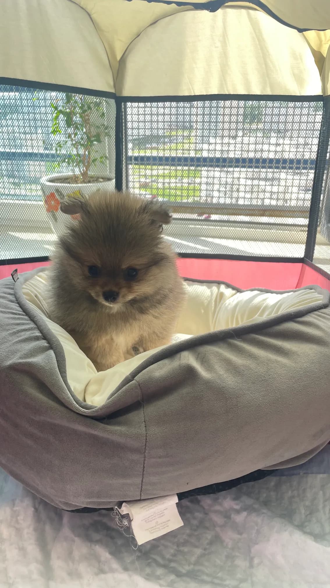 carousel-image-mobile-1