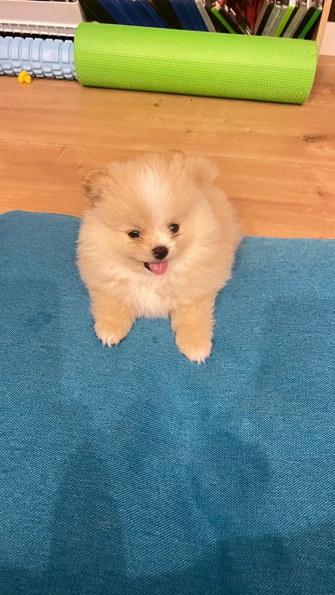 carousel-image-mobile-3