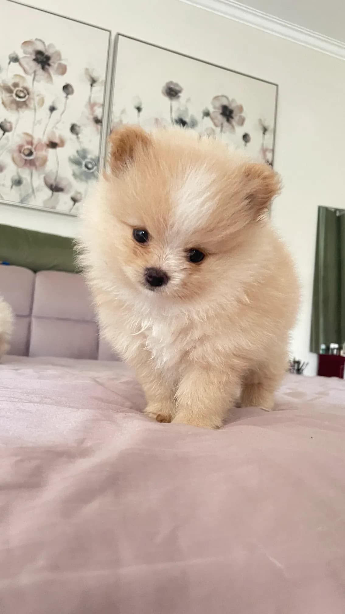 carousel-image-mobile-4