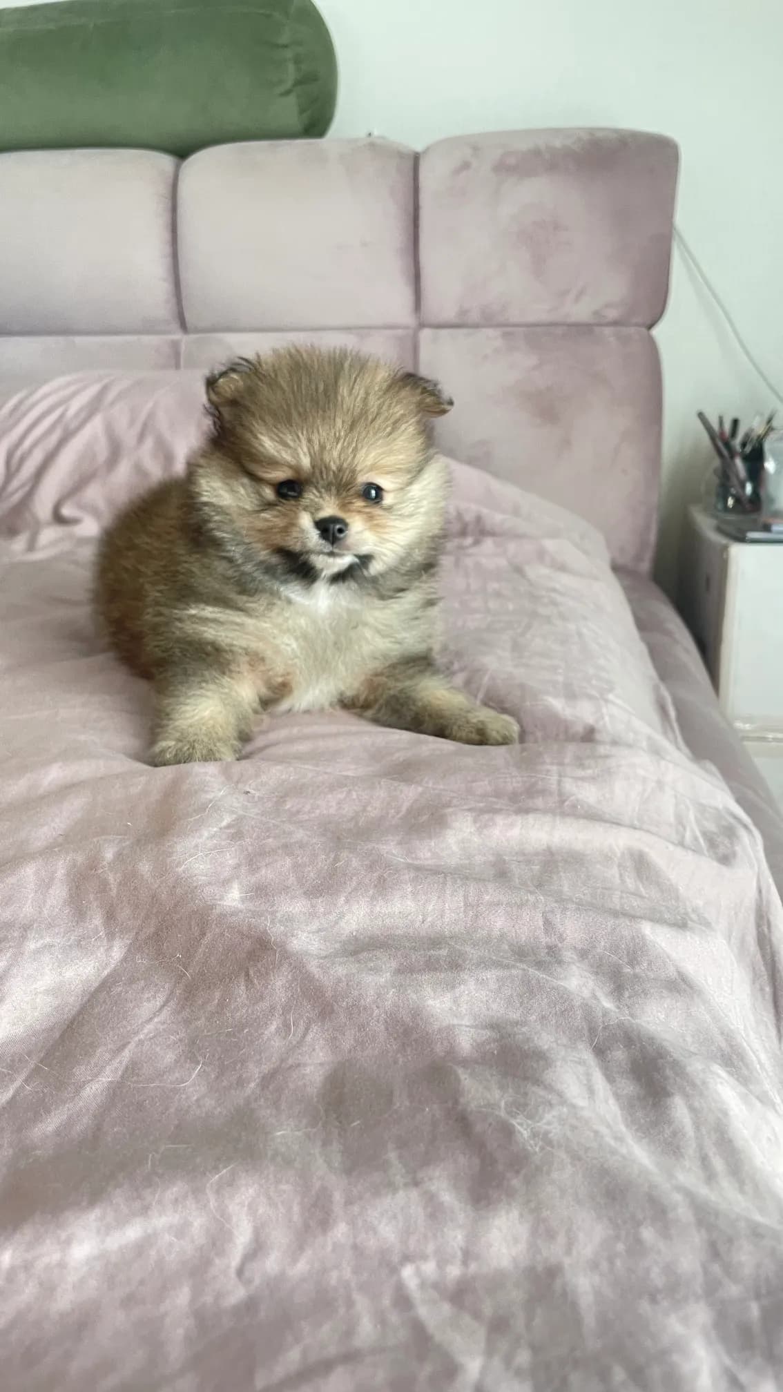 carousel-image-mobile-5