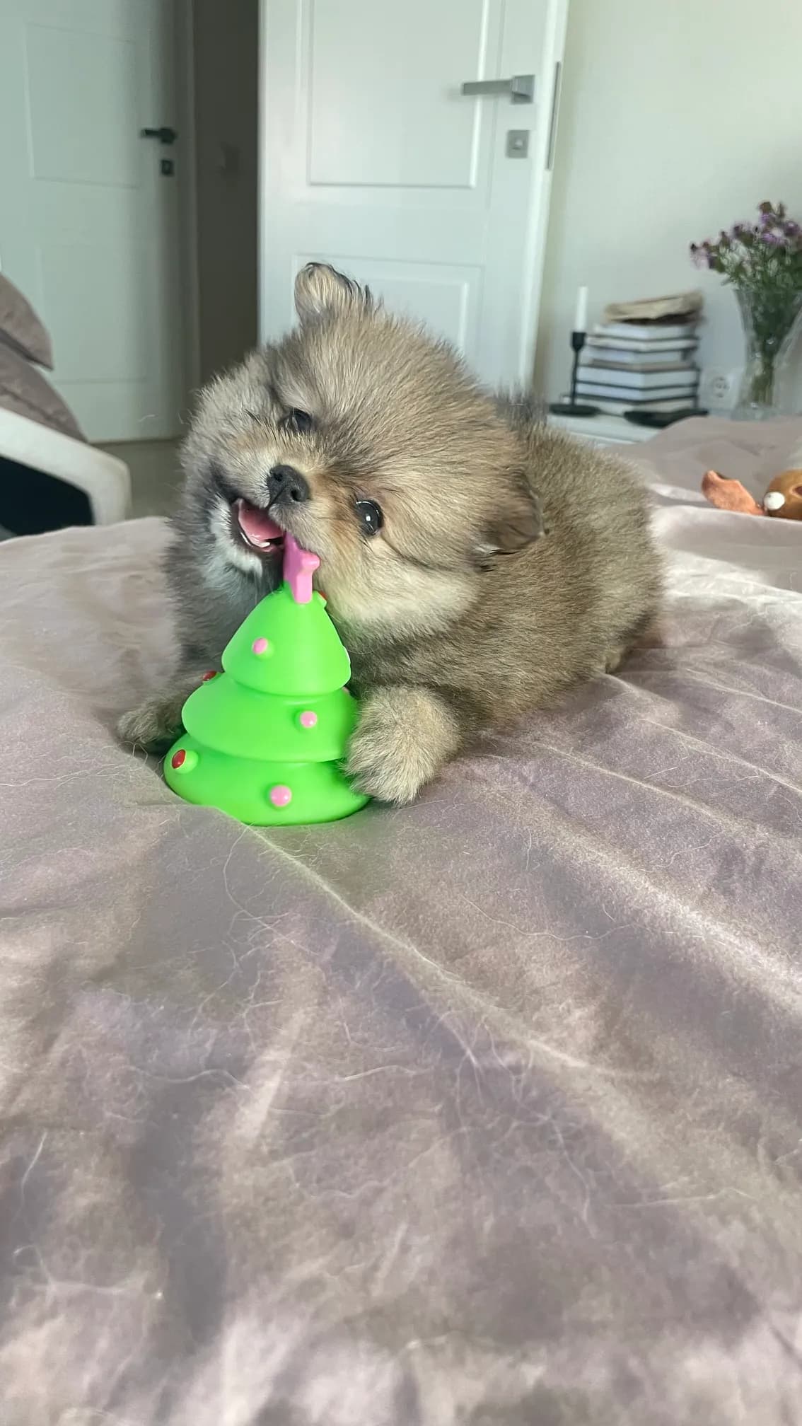 carousel-image-mobile-6