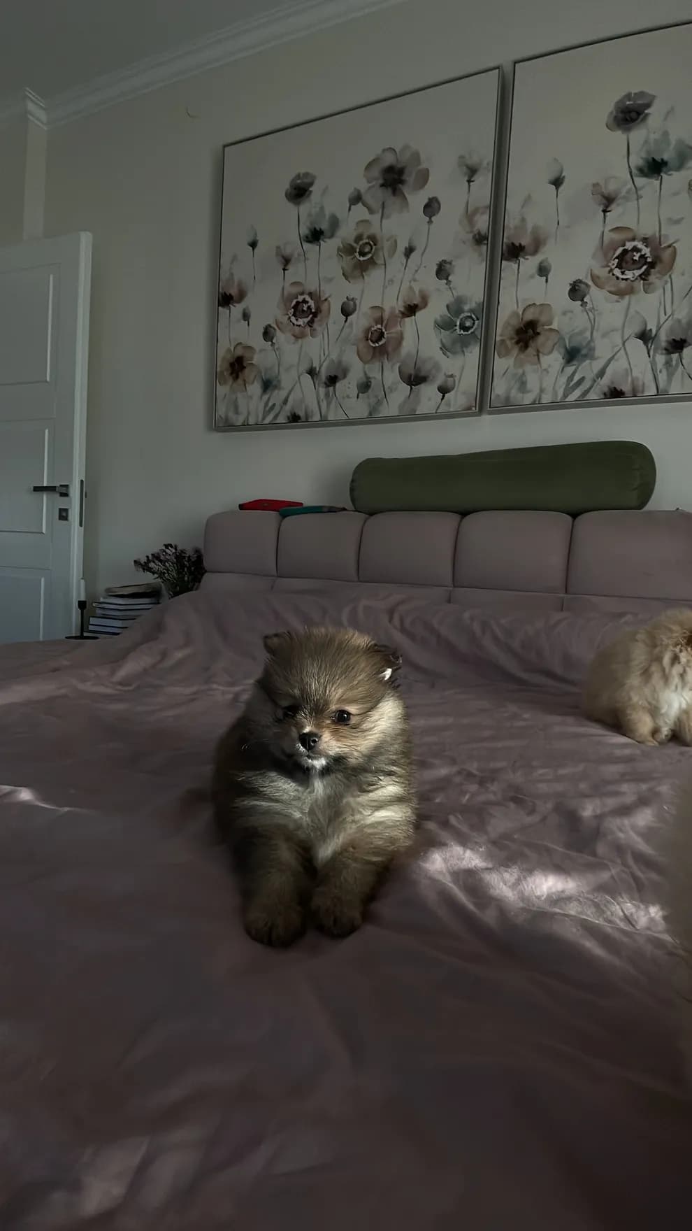 carousel-image-mobile-7