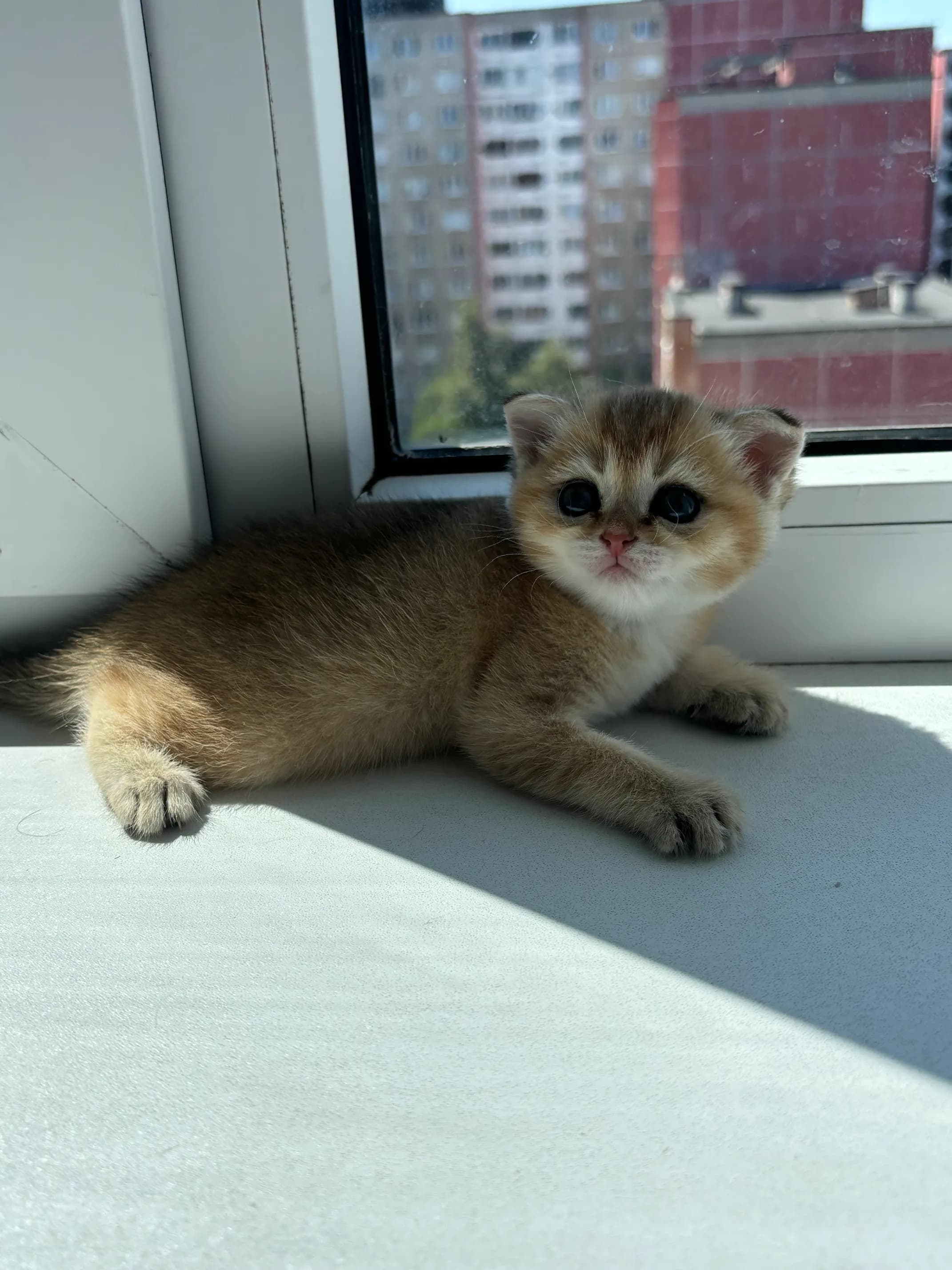 carousel-image-mobile-1