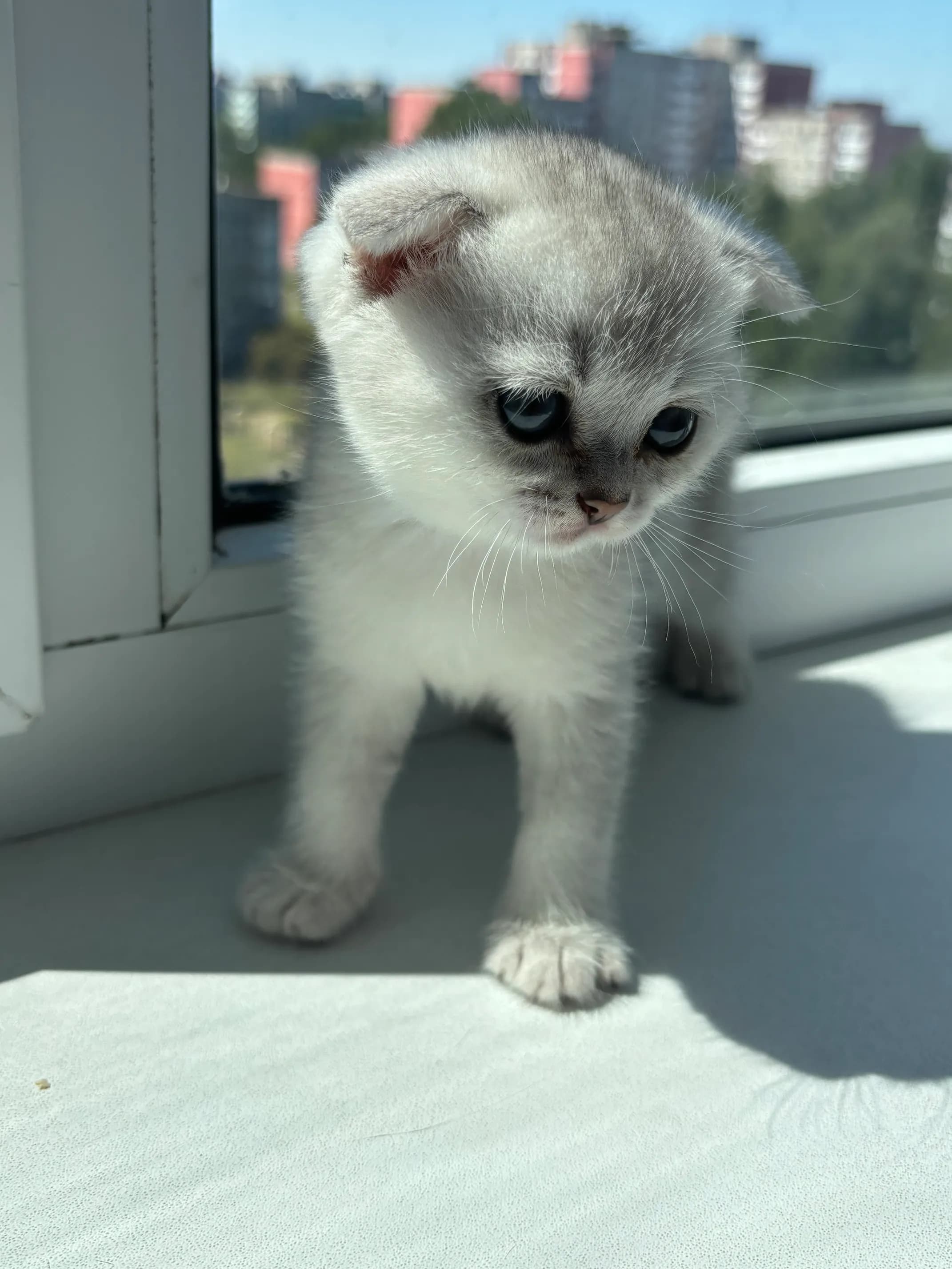 carousel-image-mobile-1