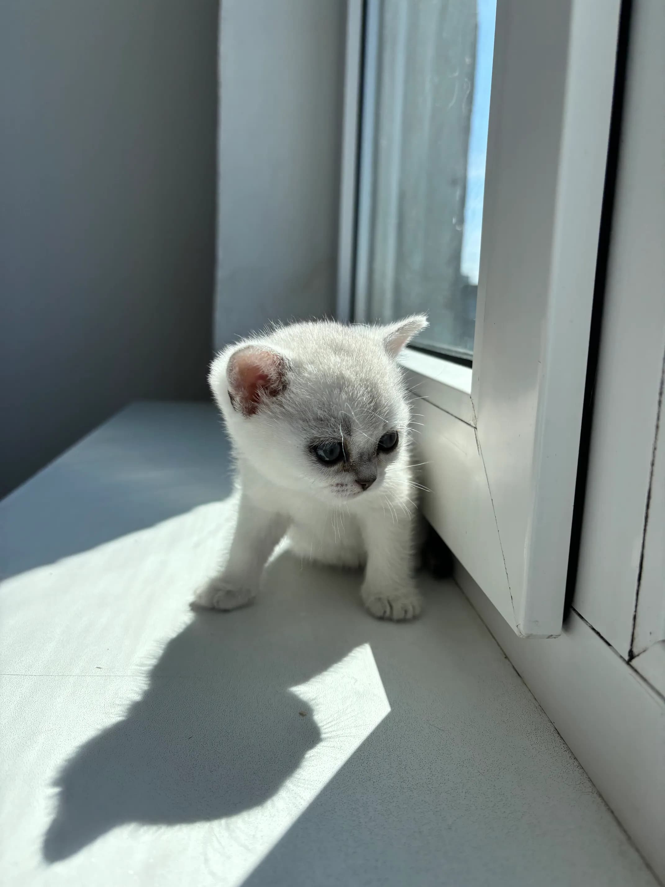 carousel-image-mobile-1