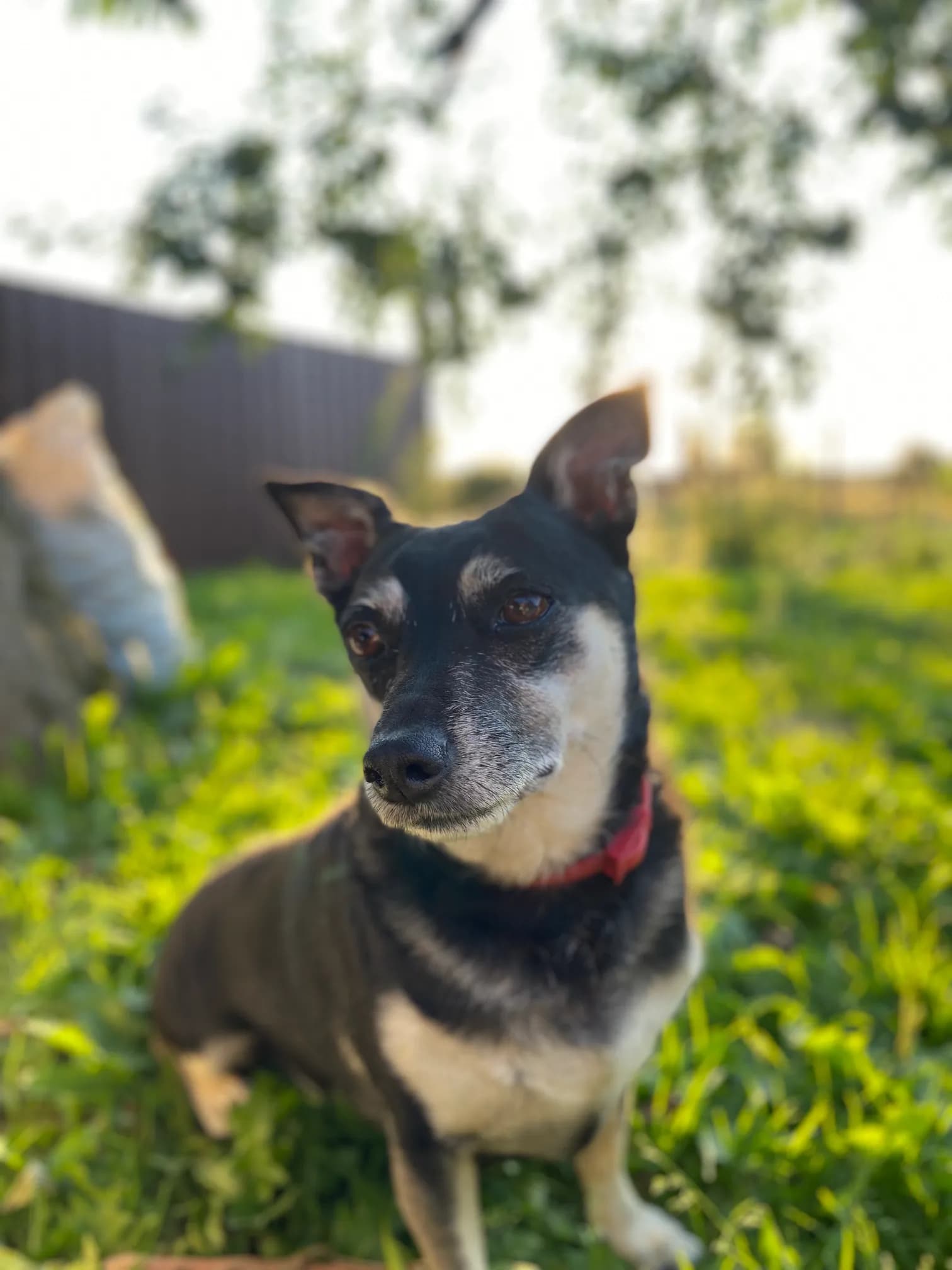 carousel-image-mobile-1