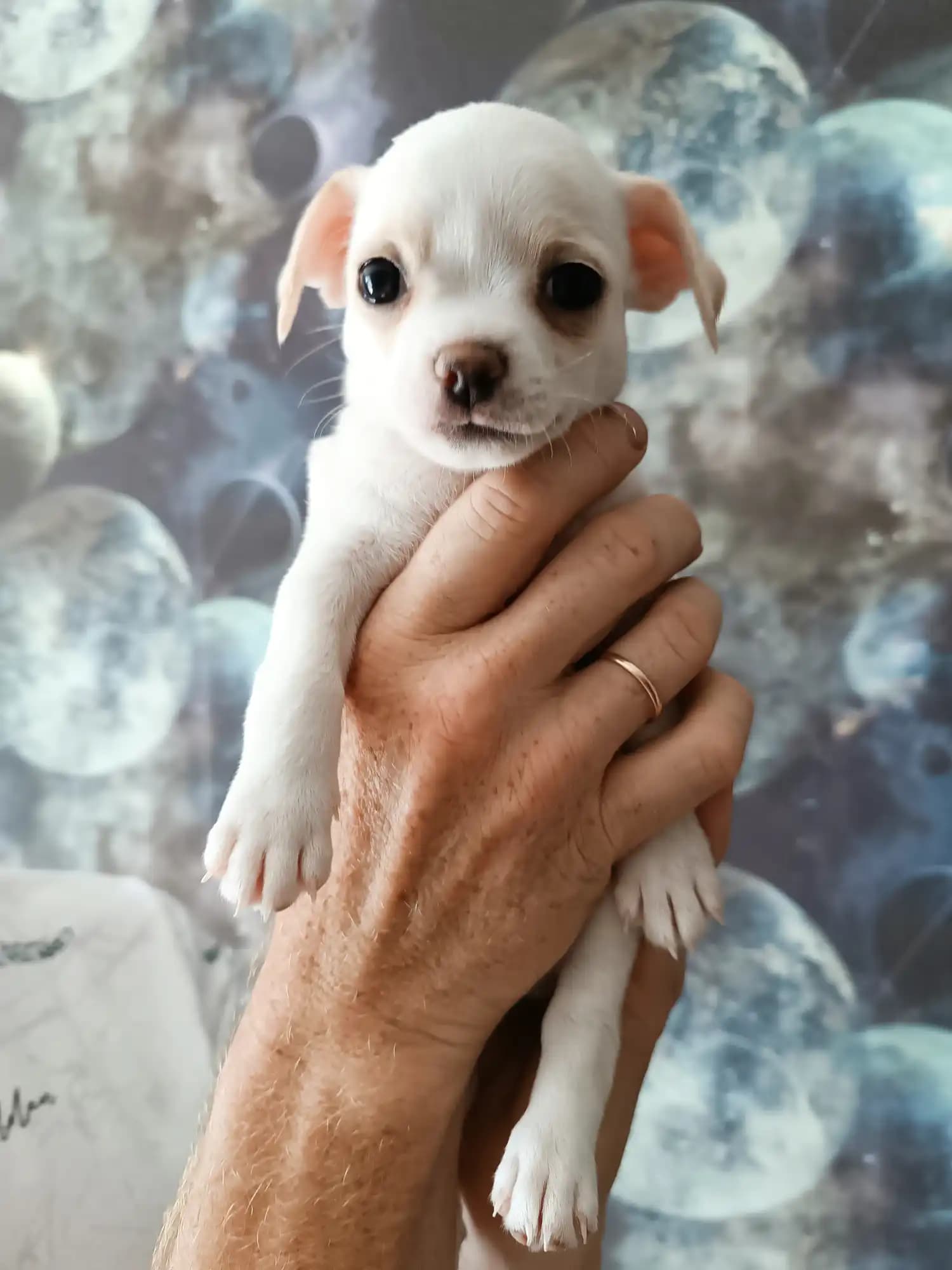 carousel-image-mobile-1