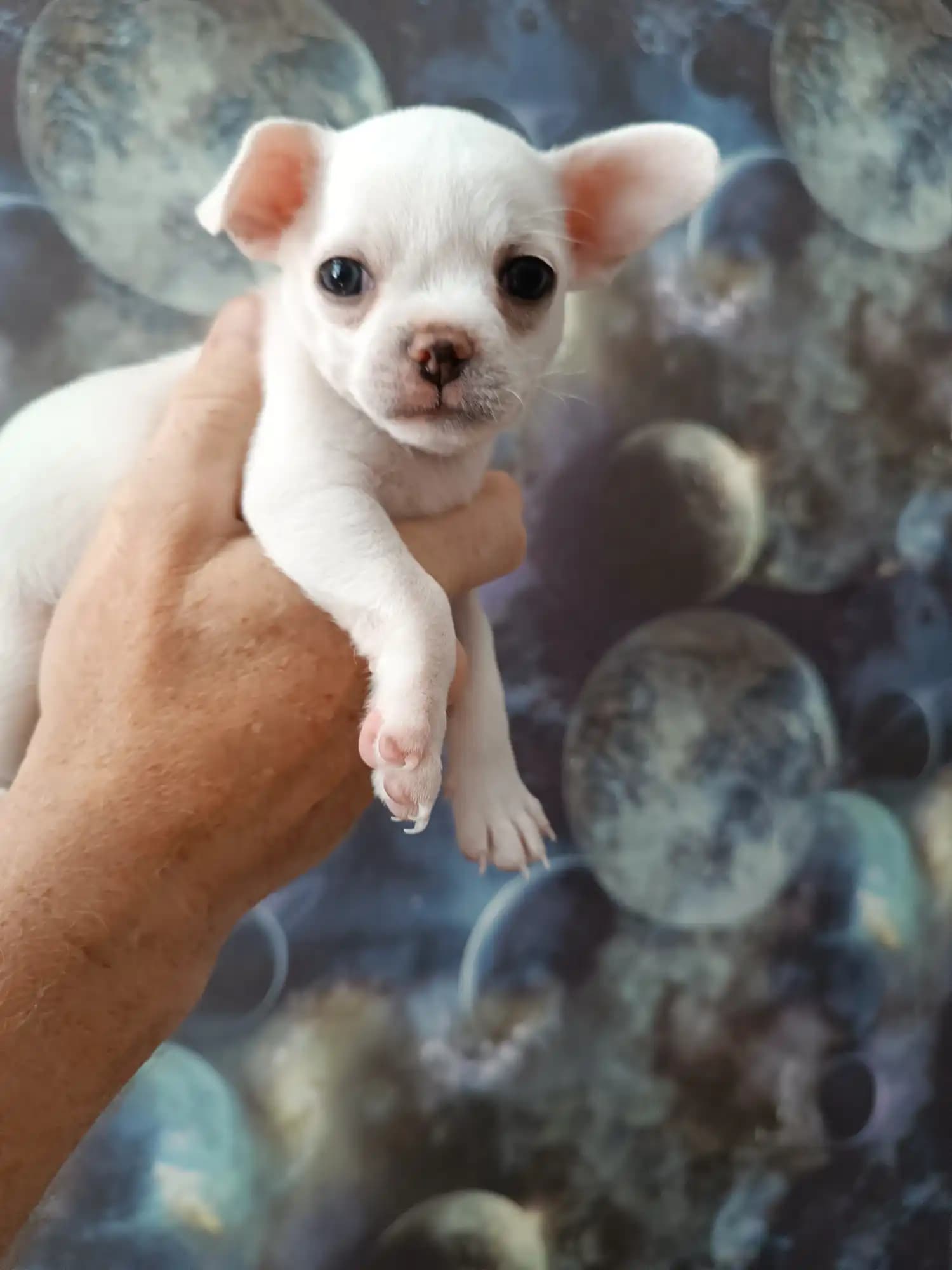 carousel-image-mobile-2