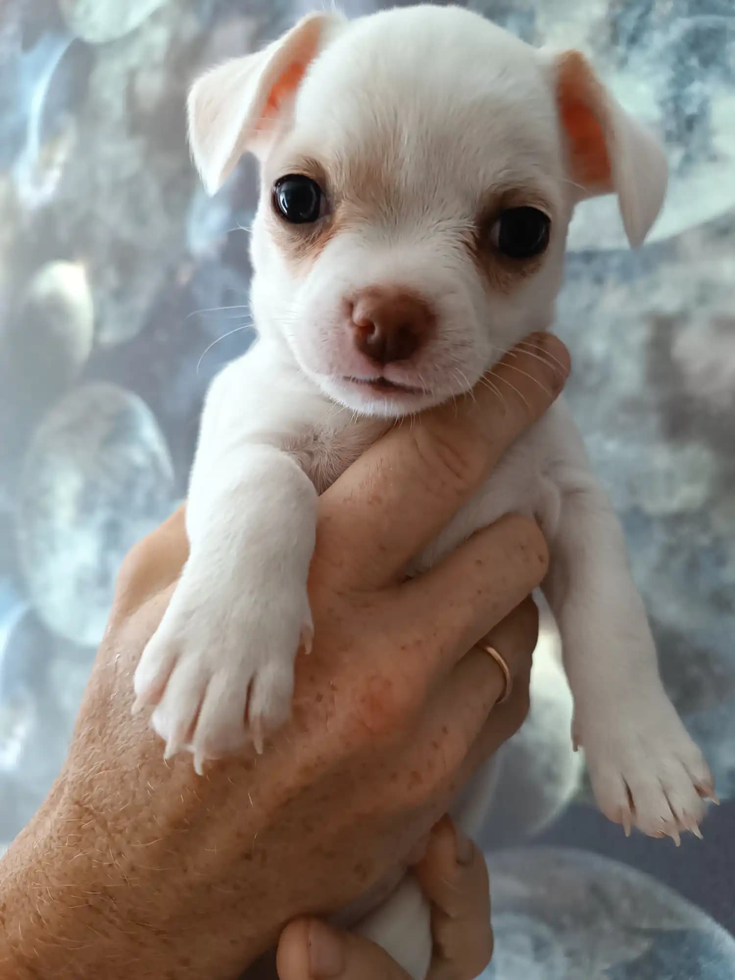 carousel-image-mobile-3