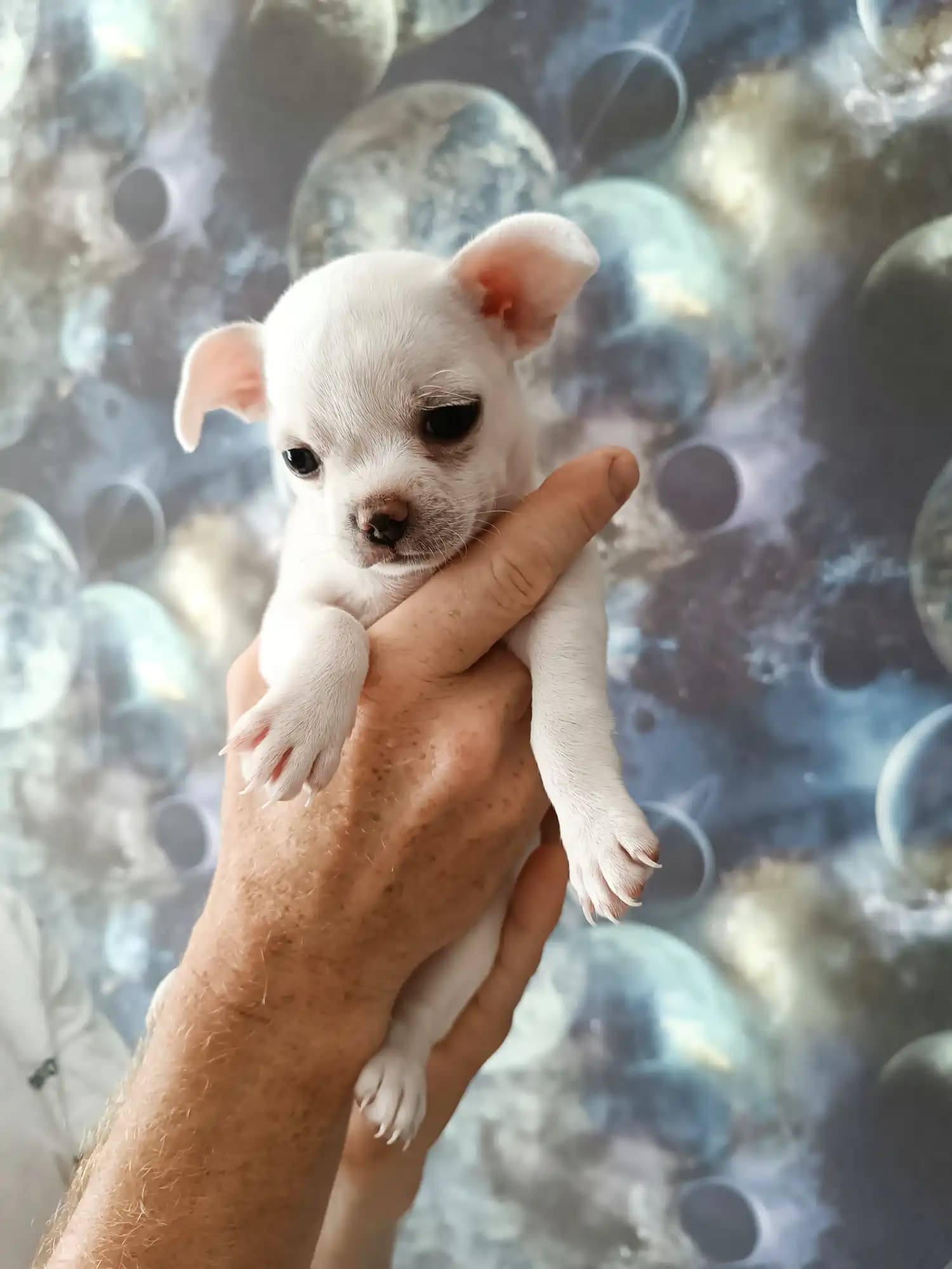 carousel-image-mobile-4