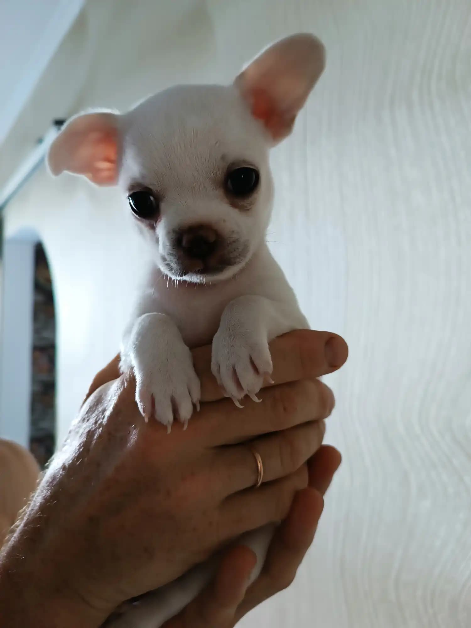 carousel-image-mobile-5