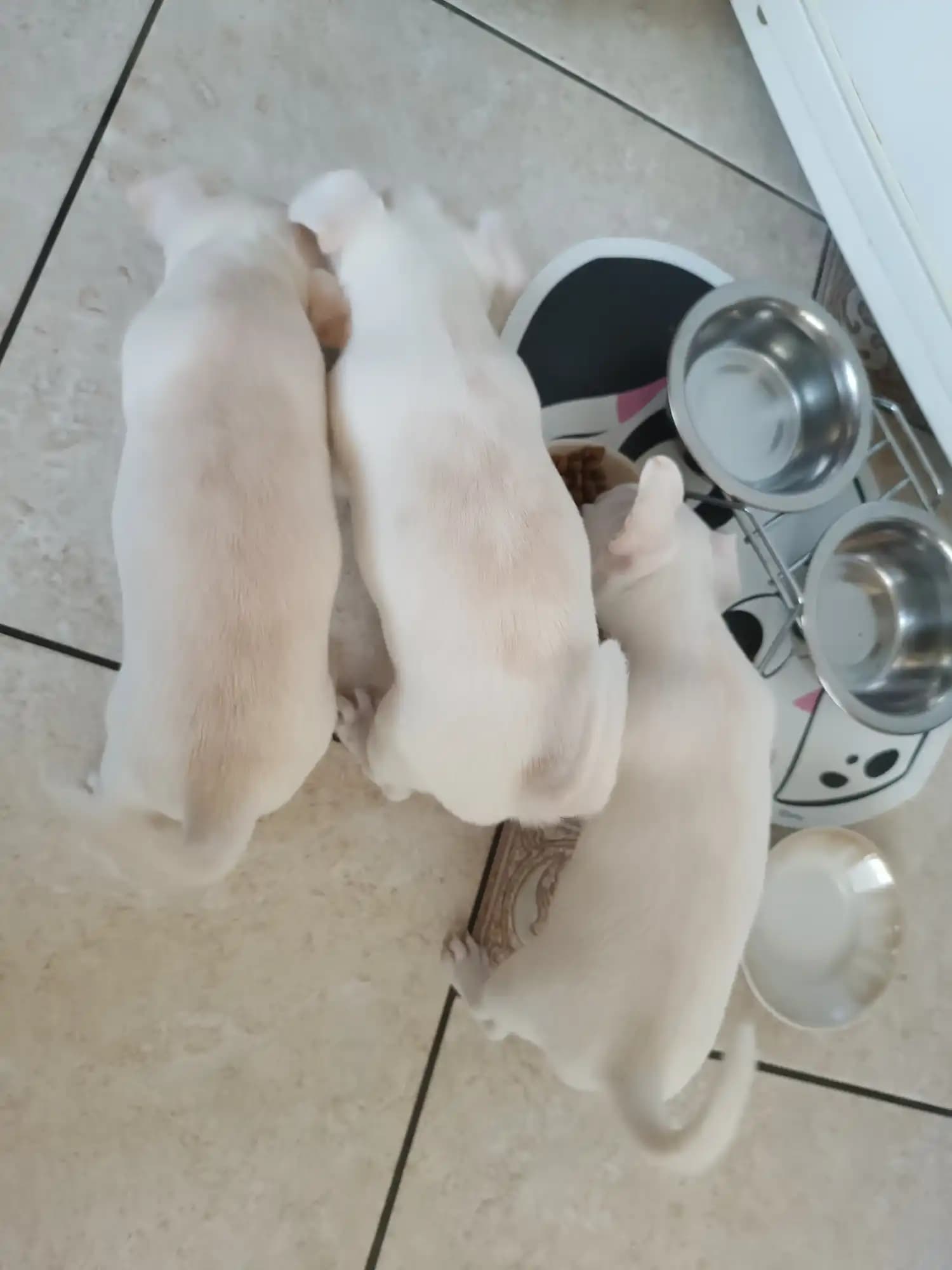 carousel-image-mobile-6