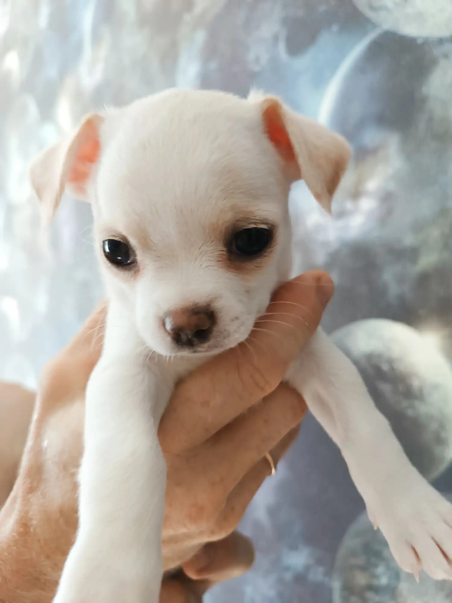 carousel-image-mobile-7