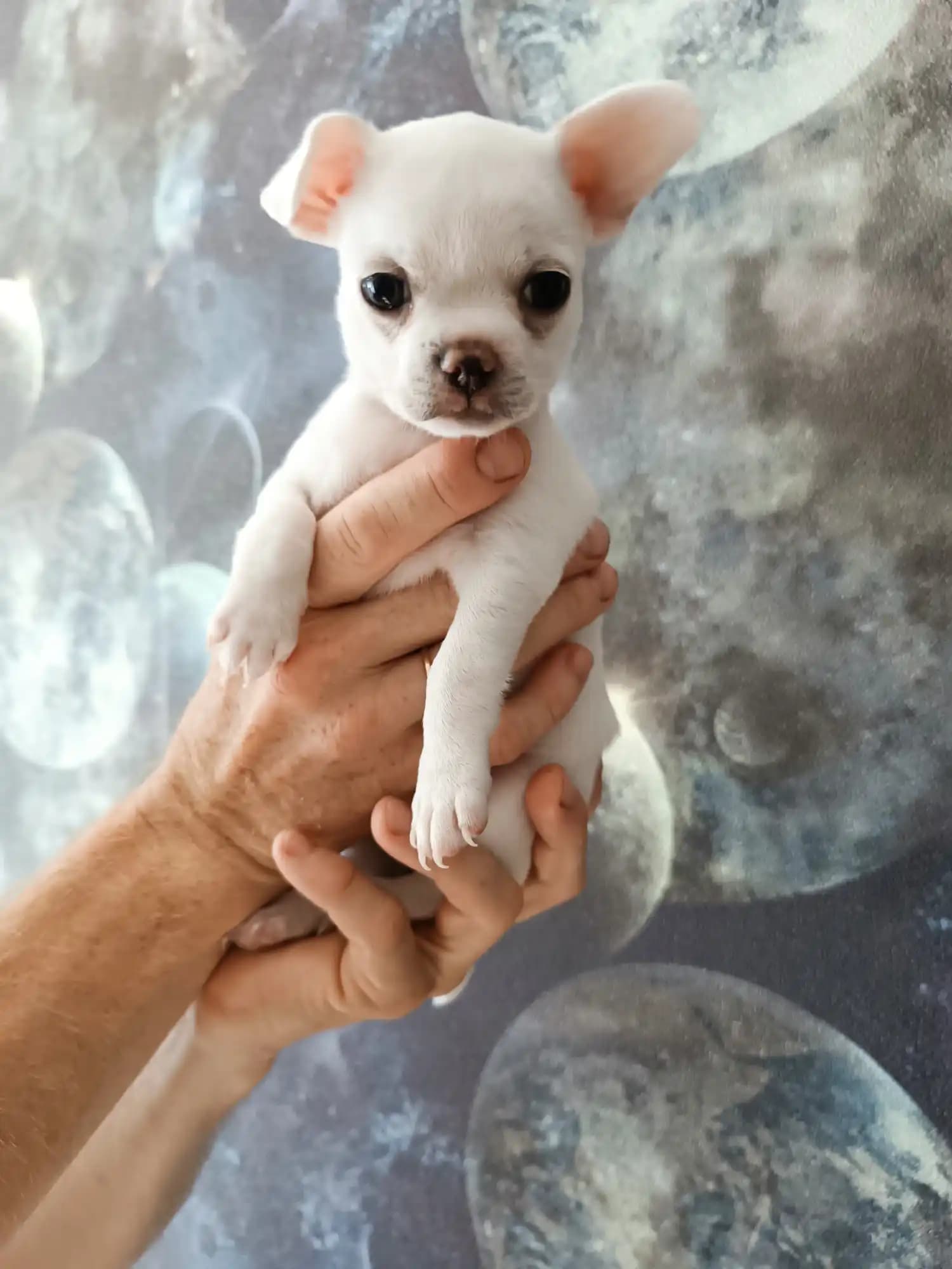 carousel-image-mobile-8