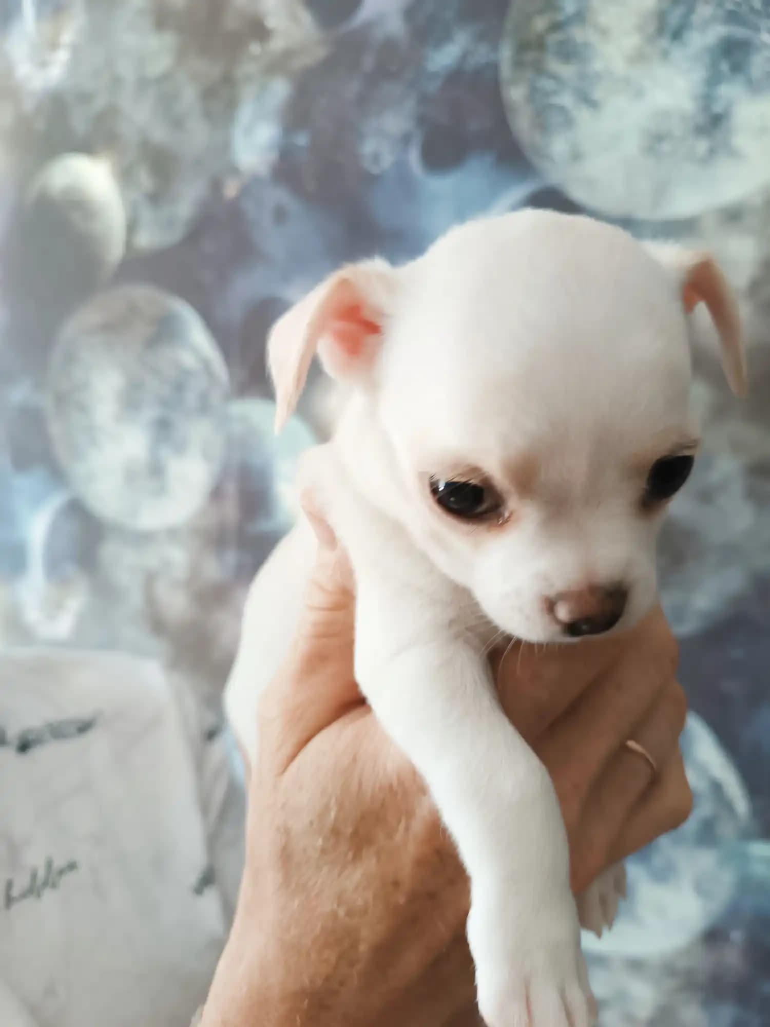 carousel-image-mobile-9