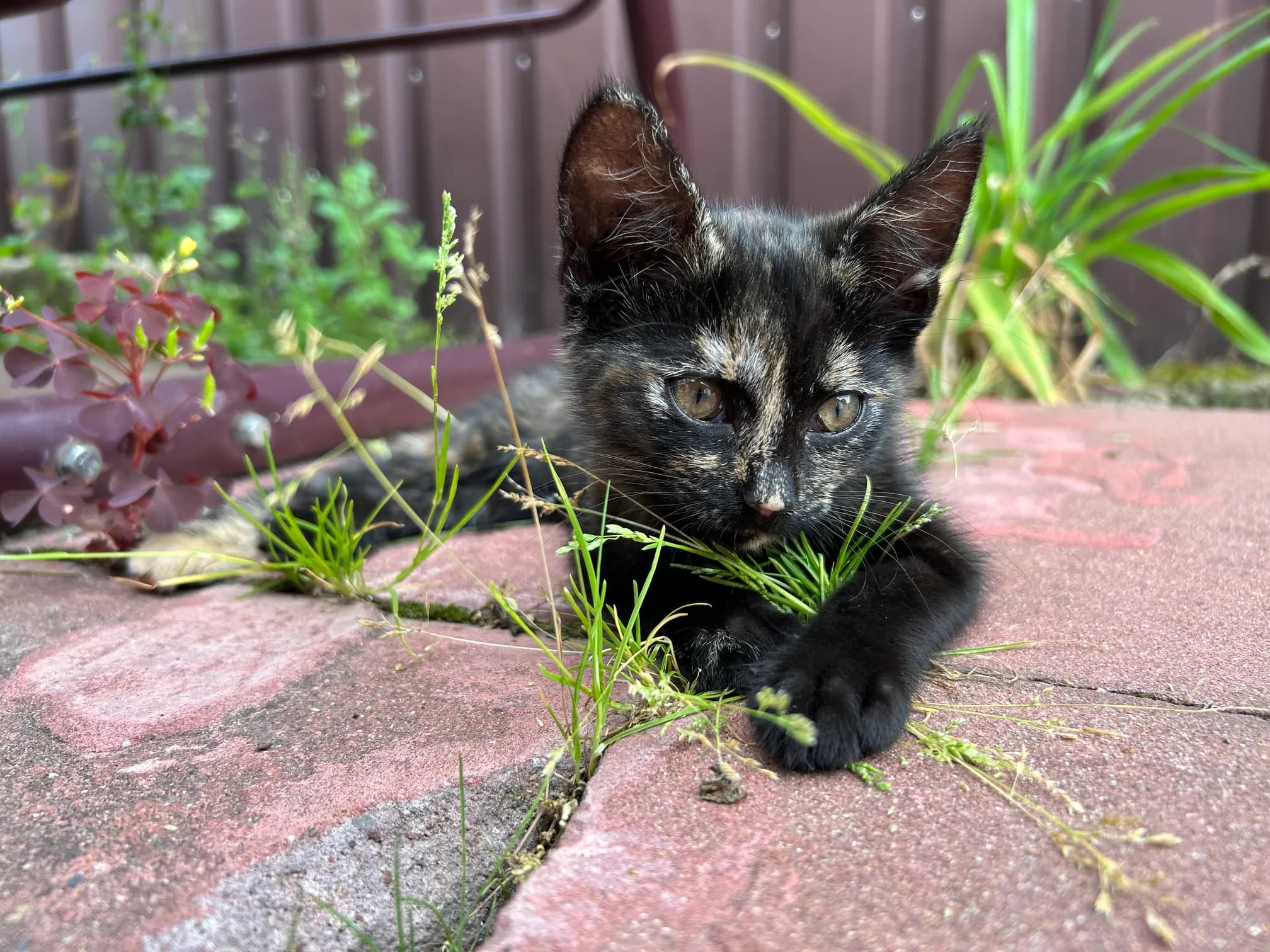 carousel-image-mobile-1