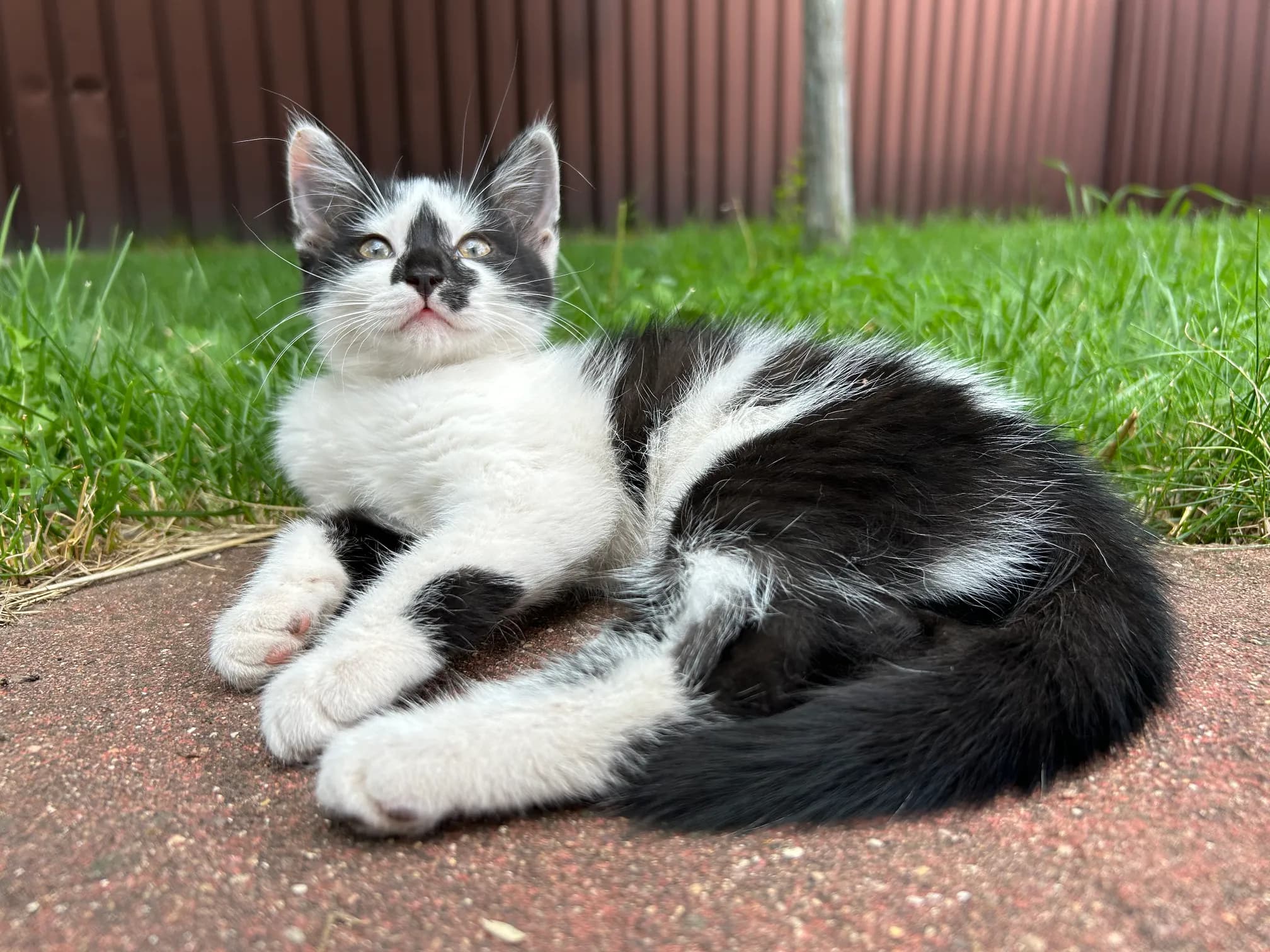 carousel-image-mobile-2