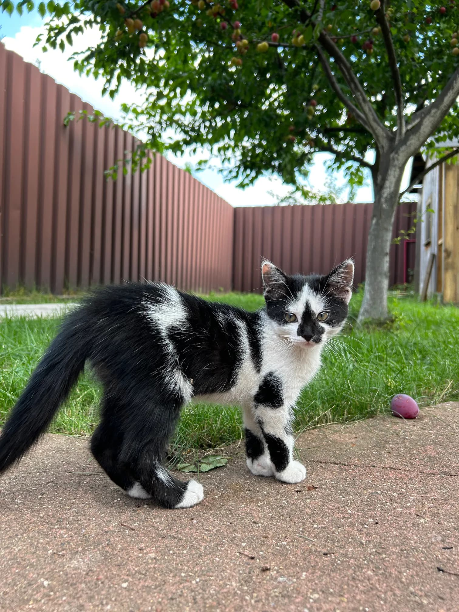 carousel-image-mobile-3