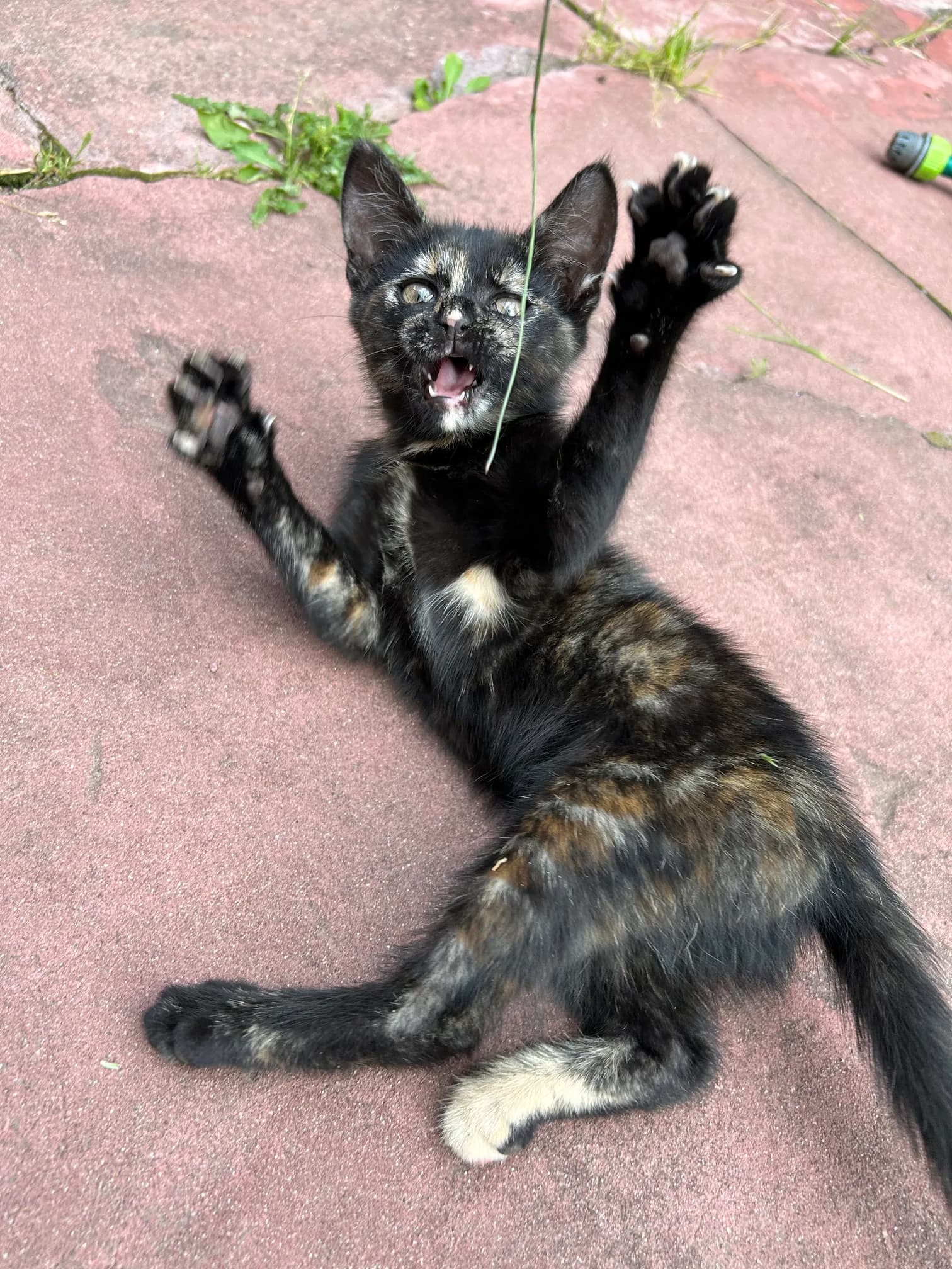 carousel-image-mobile-4