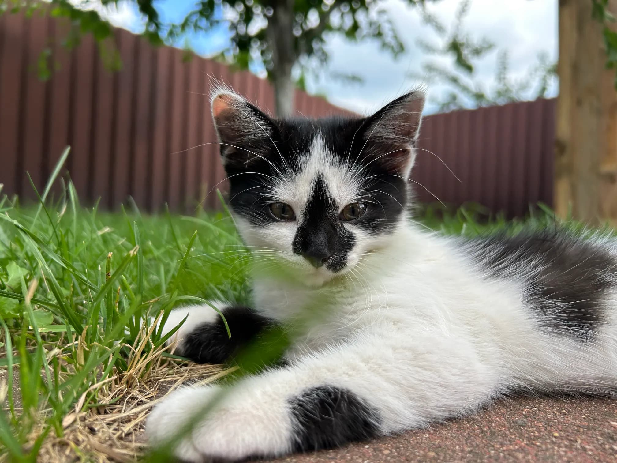 carousel-image-mobile-5