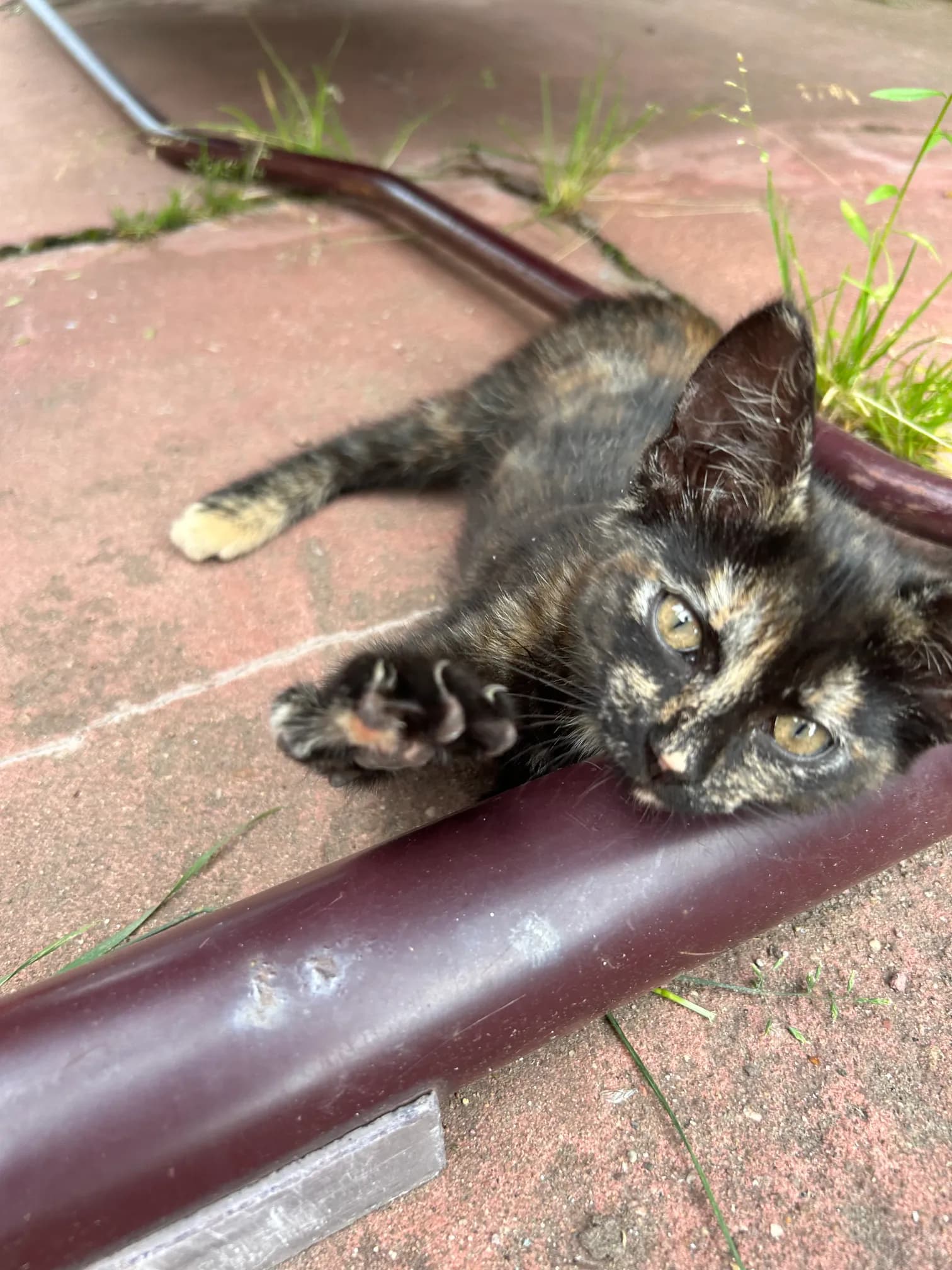 carousel-image-mobile-6