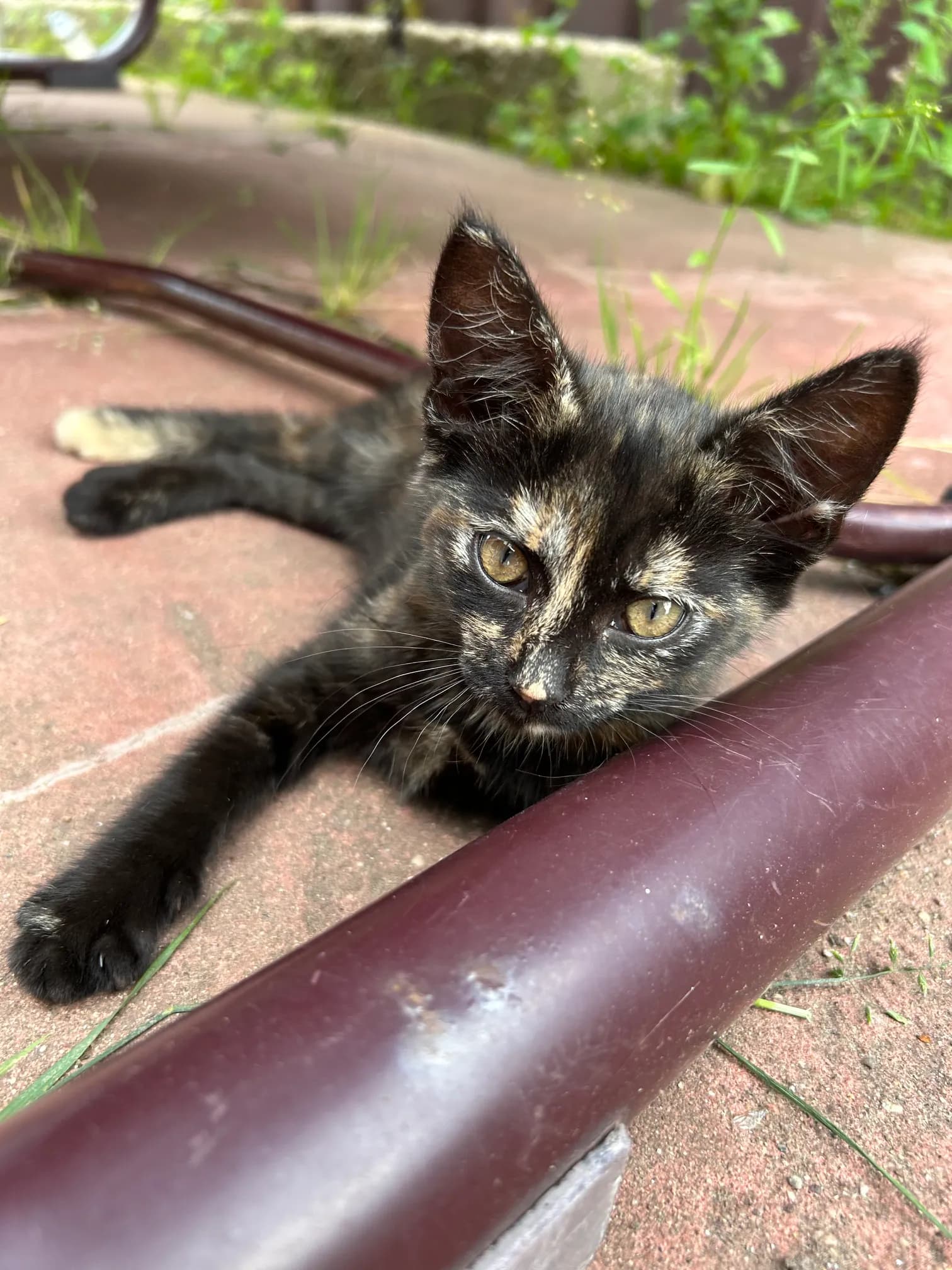 carousel-image-mobile-7