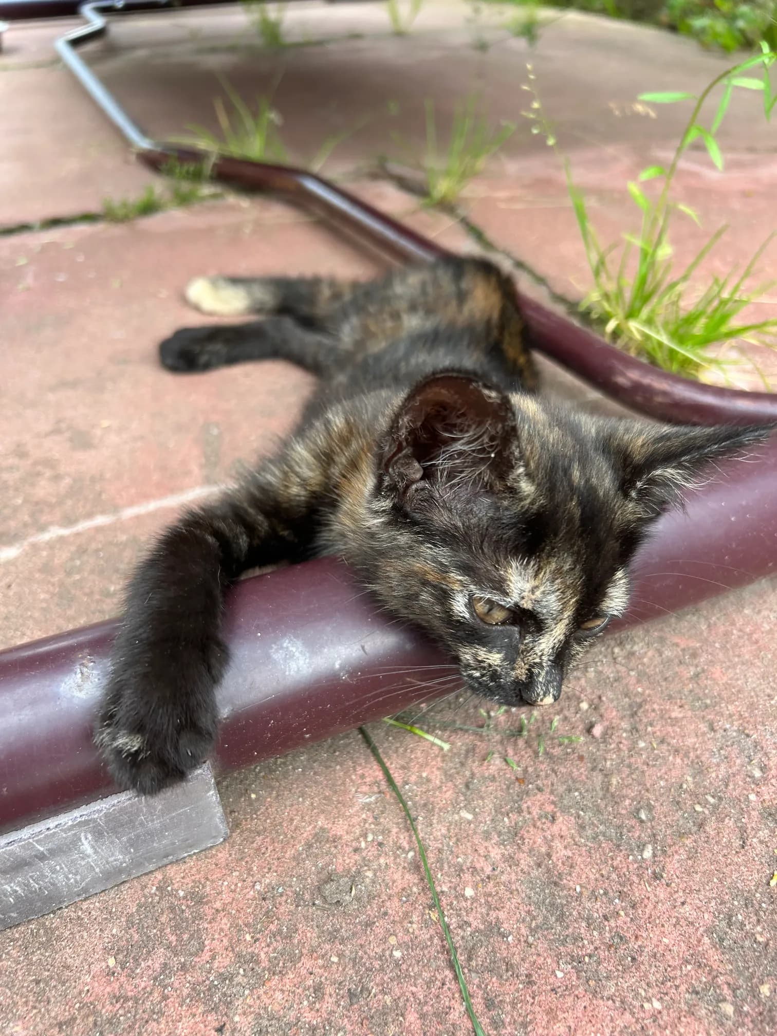 carousel-image-mobile-8