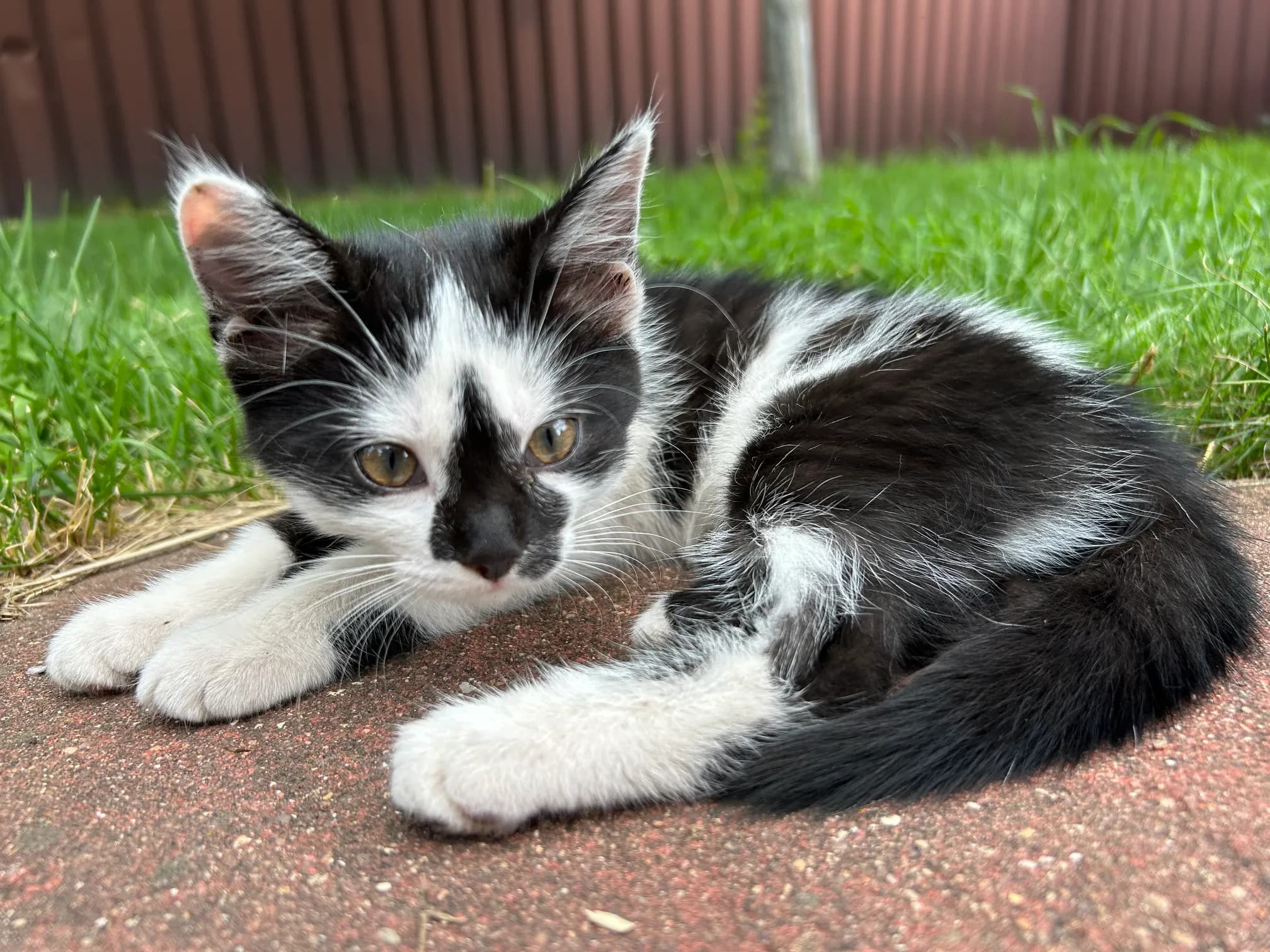 carousel-image-mobile-9