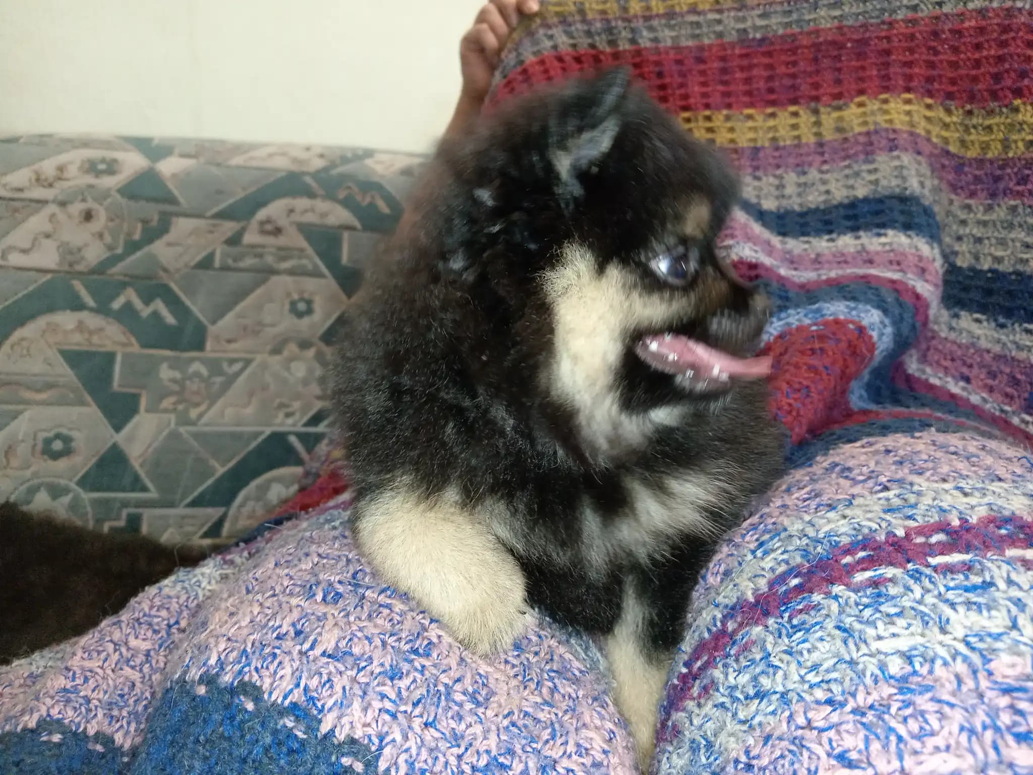 carousel-image-mobile-1