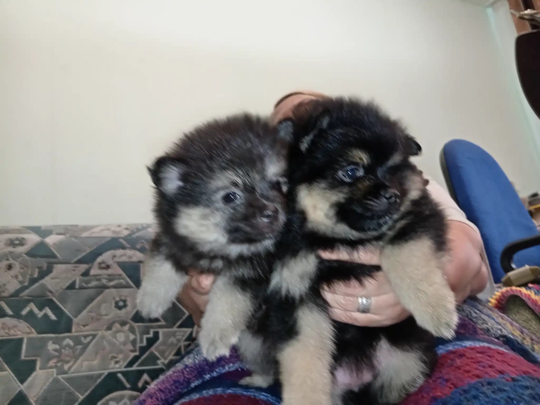 carousel-image-mobile-2