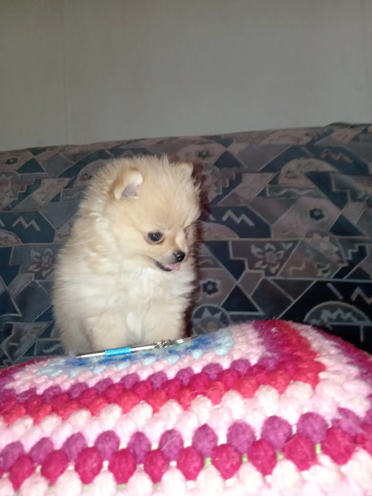 carousel-image-mobile-3