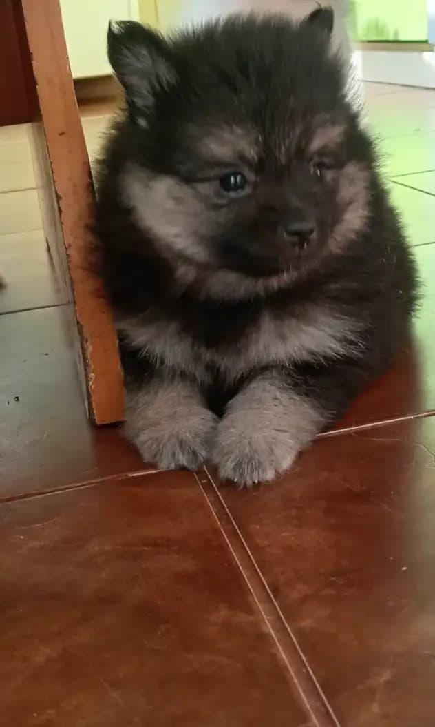 carousel-image-mobile-4