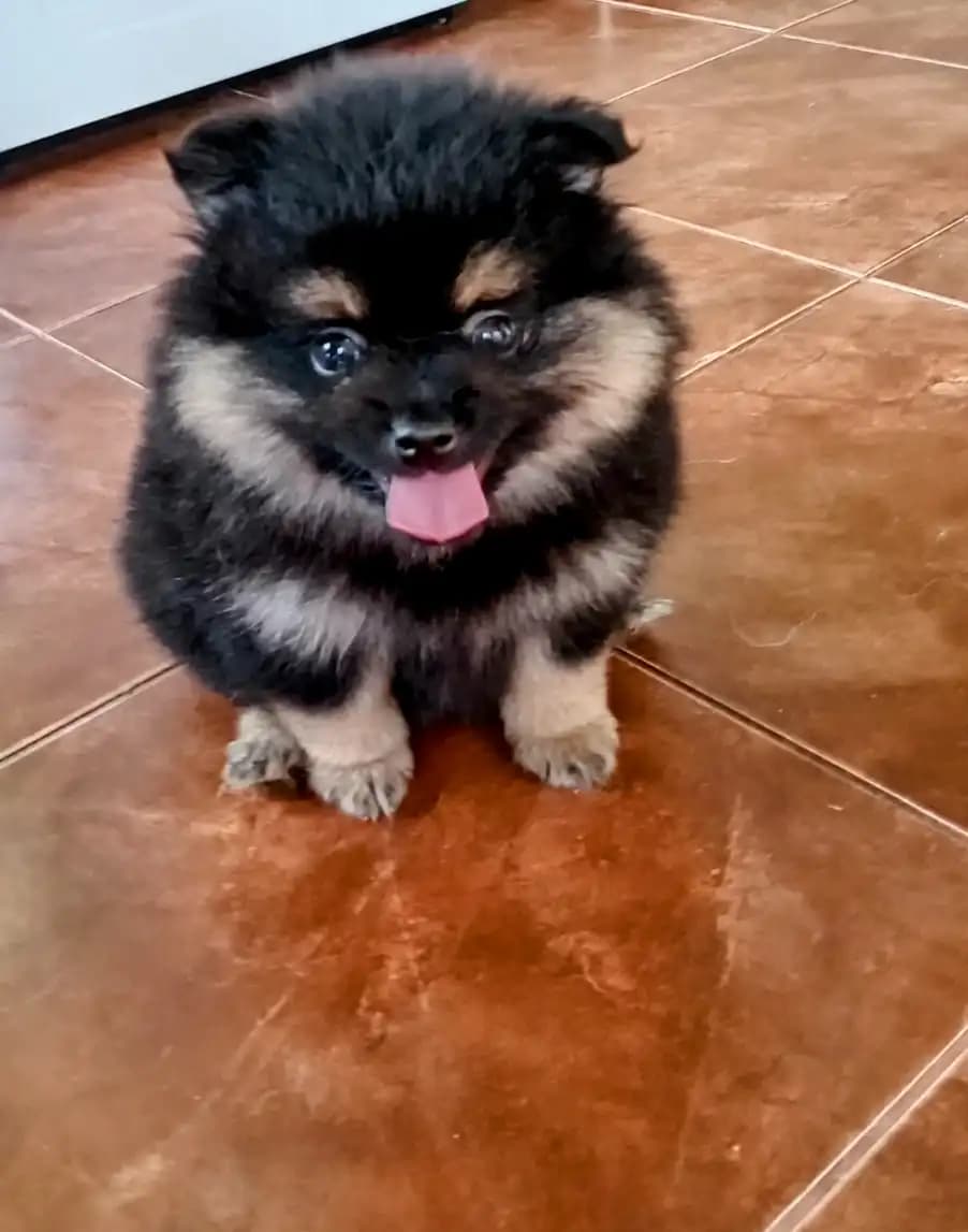 carousel-image-mobile-5