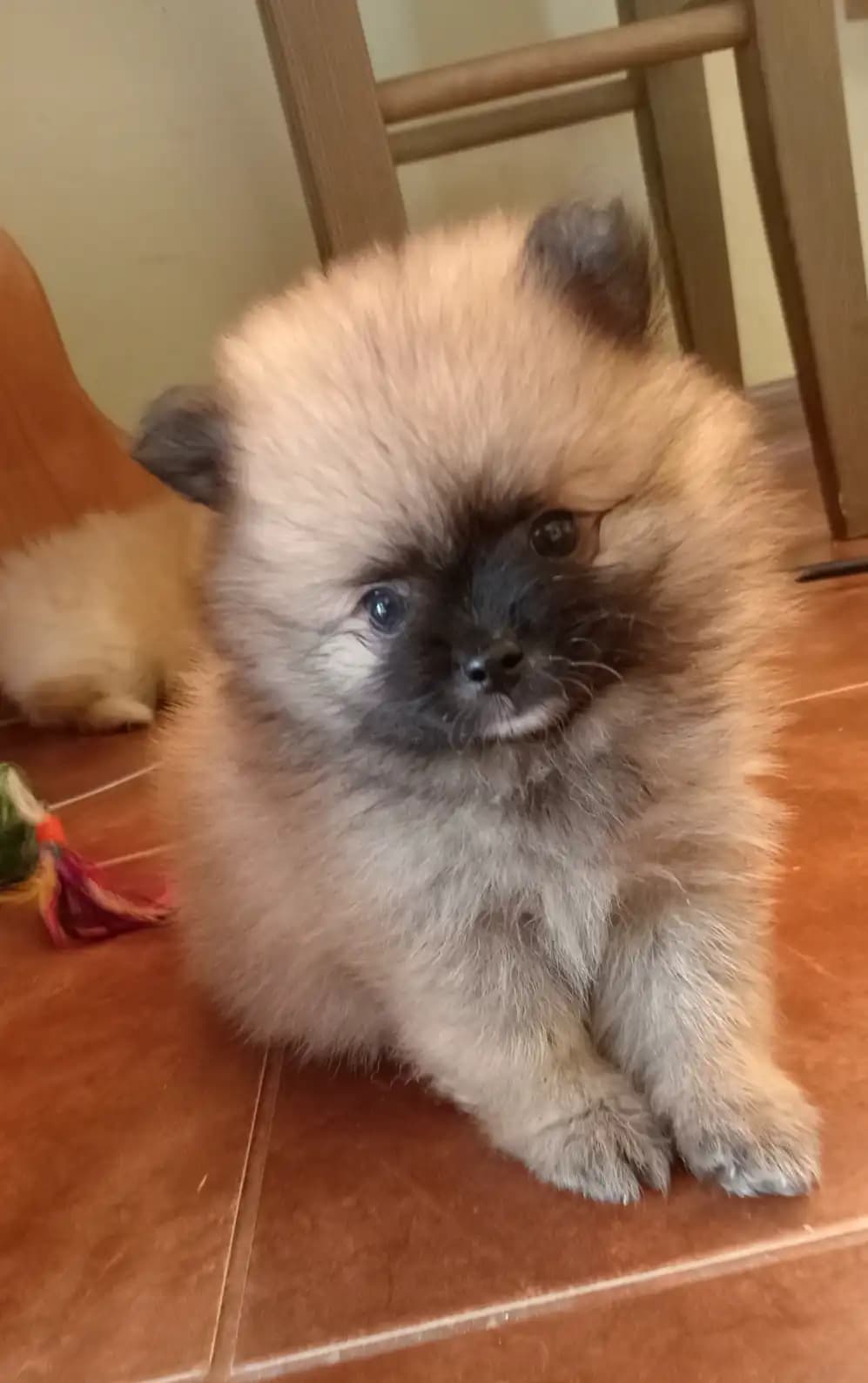 carousel-image-mobile-6