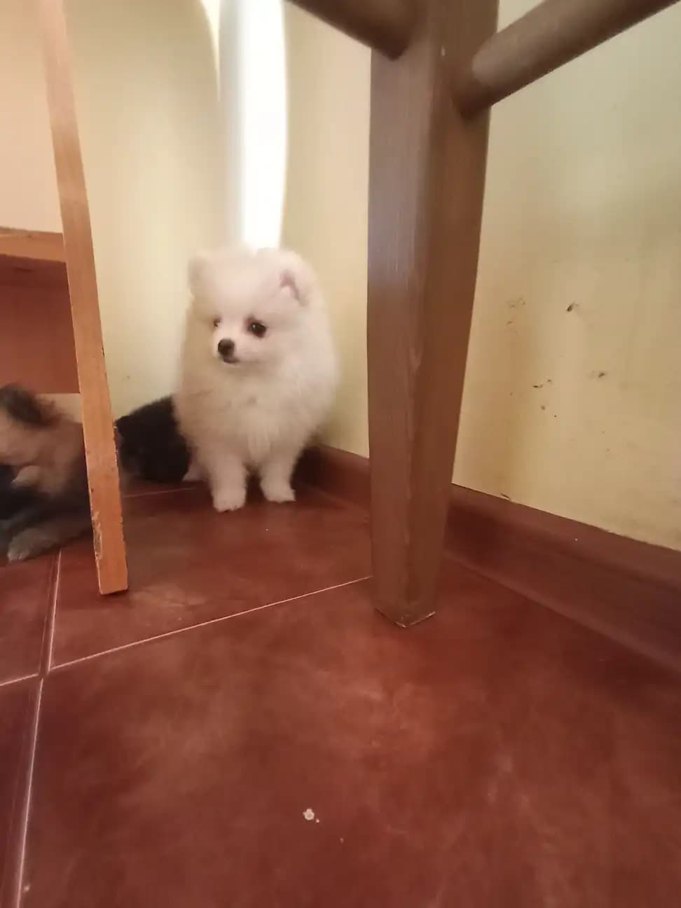 carousel-image-mobile-7