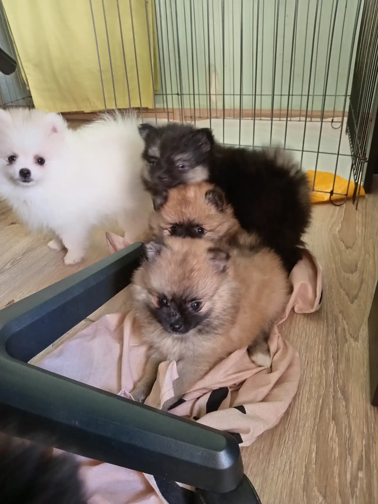 carousel-image-mobile-8