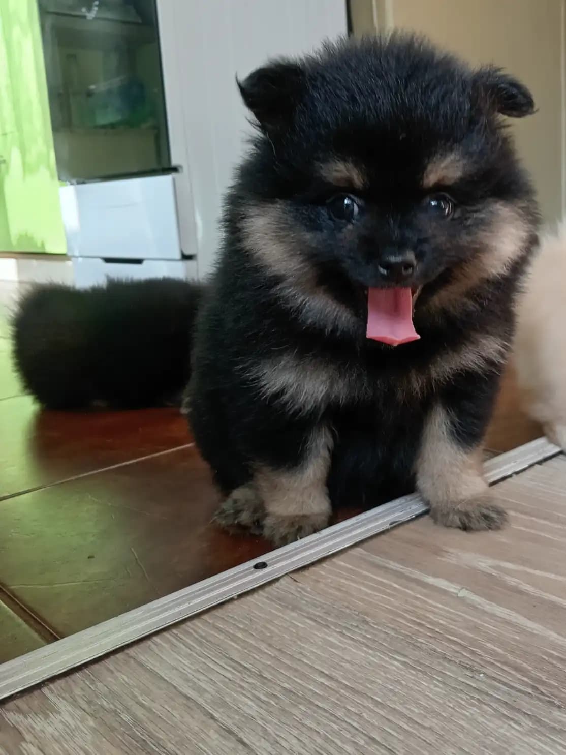 carousel-image-mobile-9