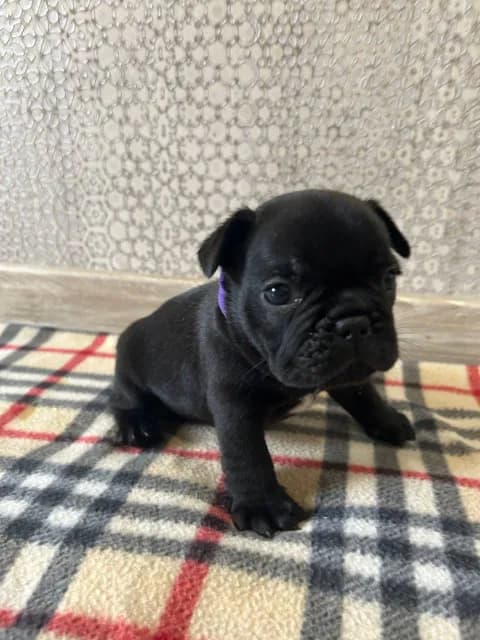 carousel-image-mobile-3