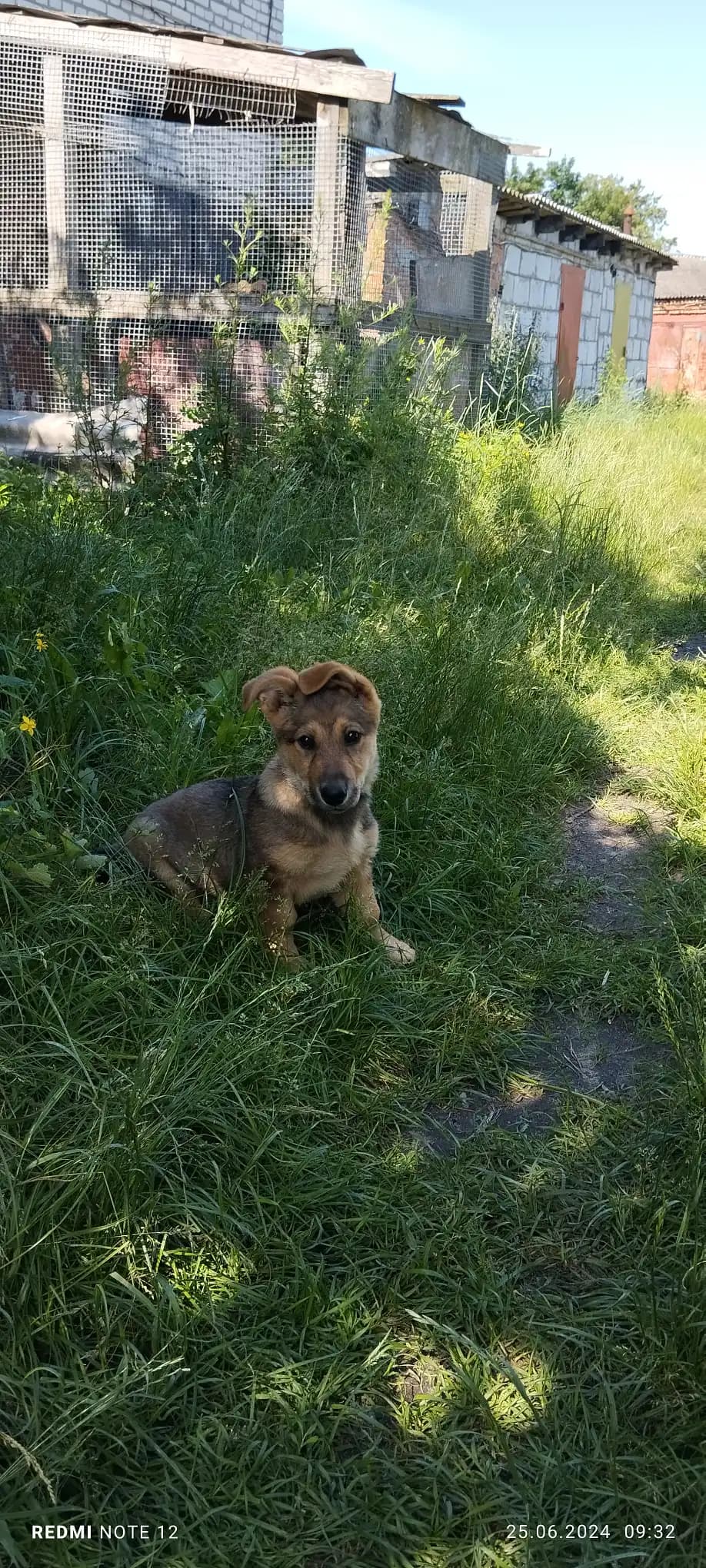 carousel-image-mobile-1