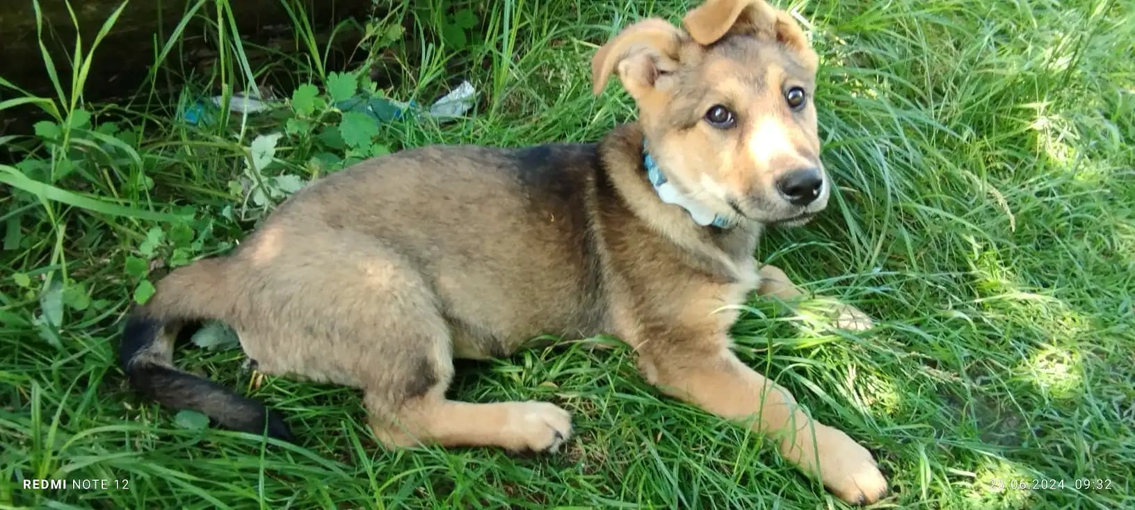 carousel-image-mobile-2