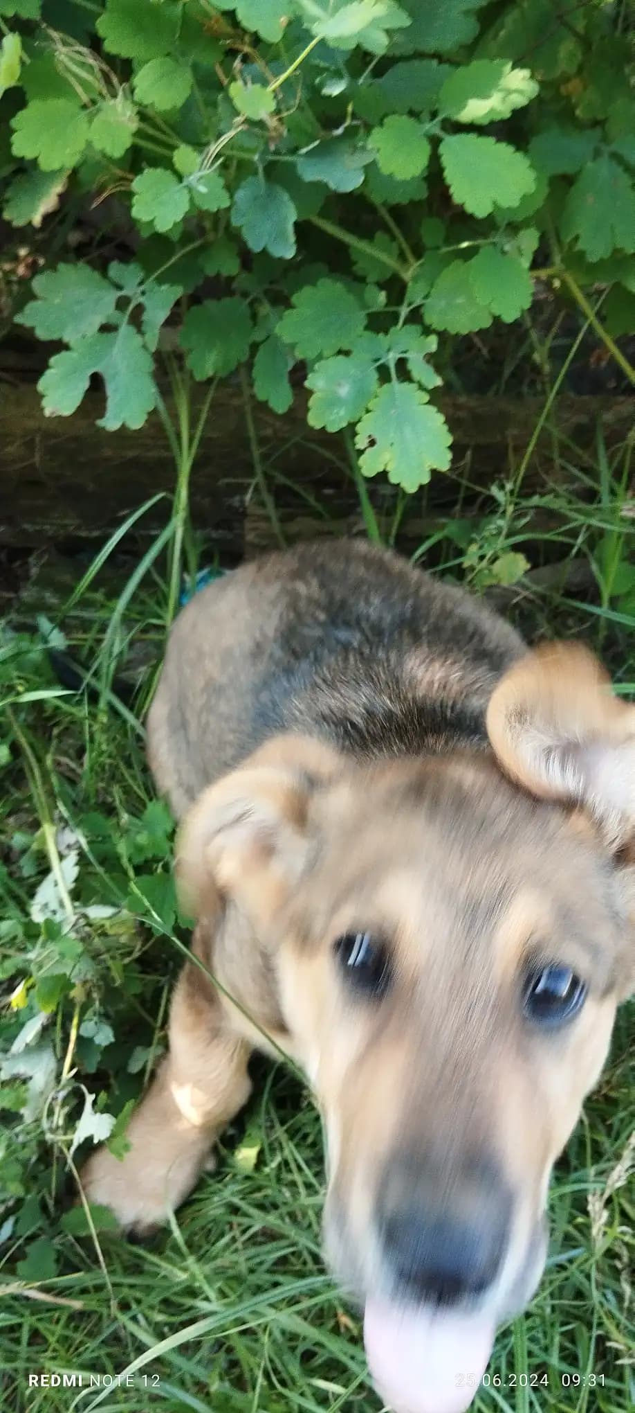 carousel-image-mobile-3